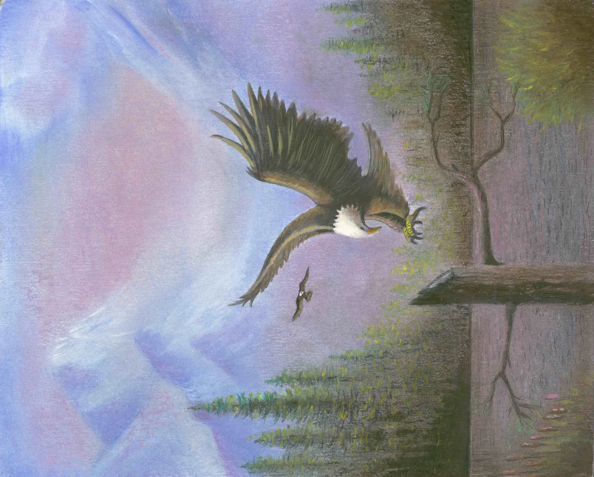 SD  EAGLE 16 x 20 copy 2_WEB.jpg