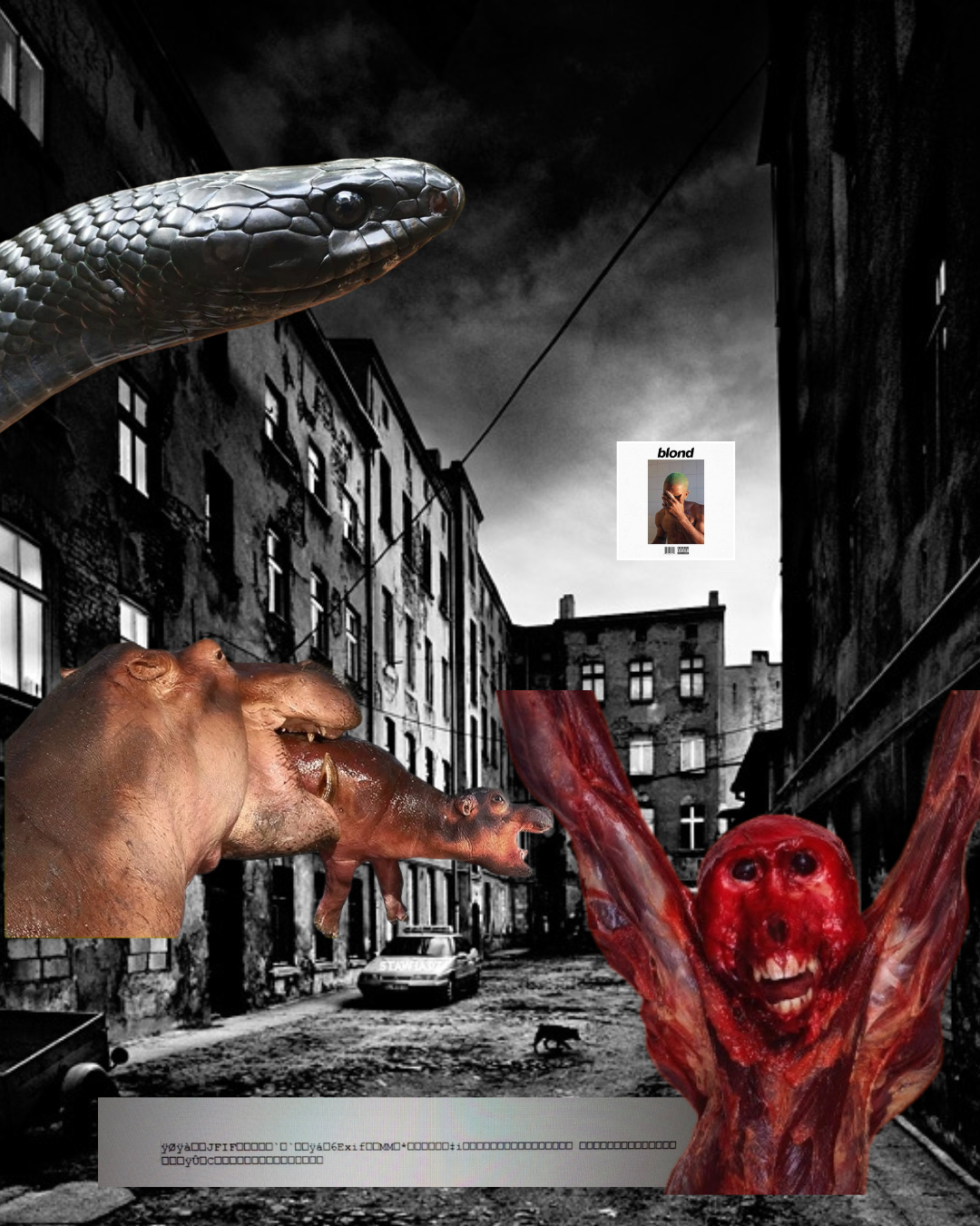 Untitled design (16).png