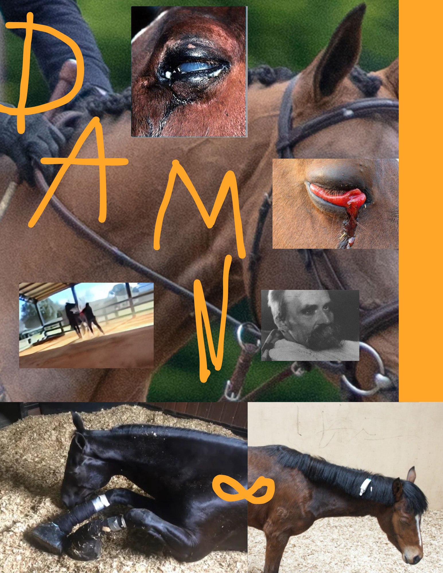 Your paragraph text (4).png