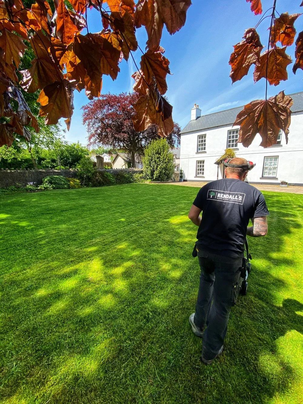A man wearing a black T-shirt with the logo 'Rendall's' on the back walks across a freshly mowed green lawn on a sunny day. There are trees with reddish and green leaves and a white house in the background. The sky is clear and blue.