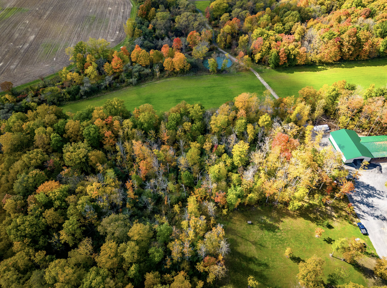 Aerial view of a forested area with trees showing fall foliage in shades of green, yellow, orange, and red, alongside a grassy field and a building with a green roof.