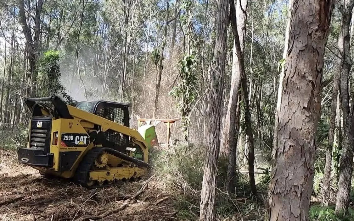 A yellow CAT 299D compact track loader clearing trees and debris in a forested area.