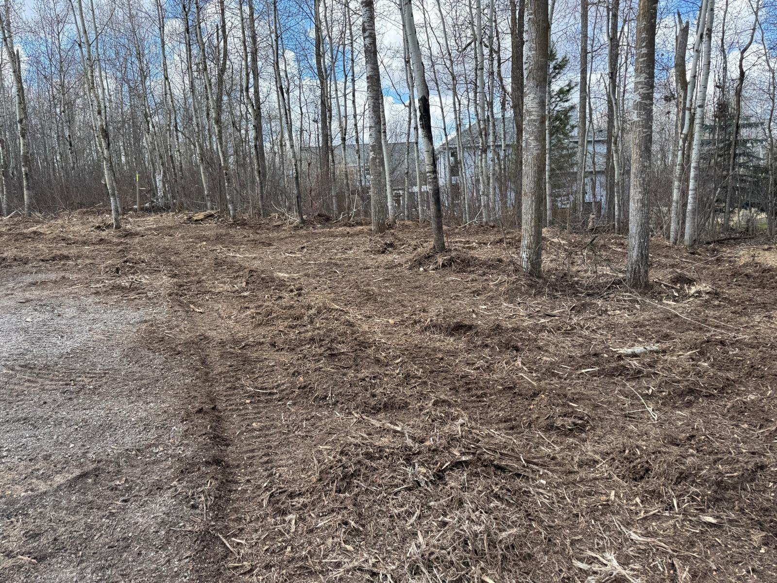 A cleared patch of land with bare dirt and some scattered twigs, surrounded by leafless trees and a house visible in the background during daytime.