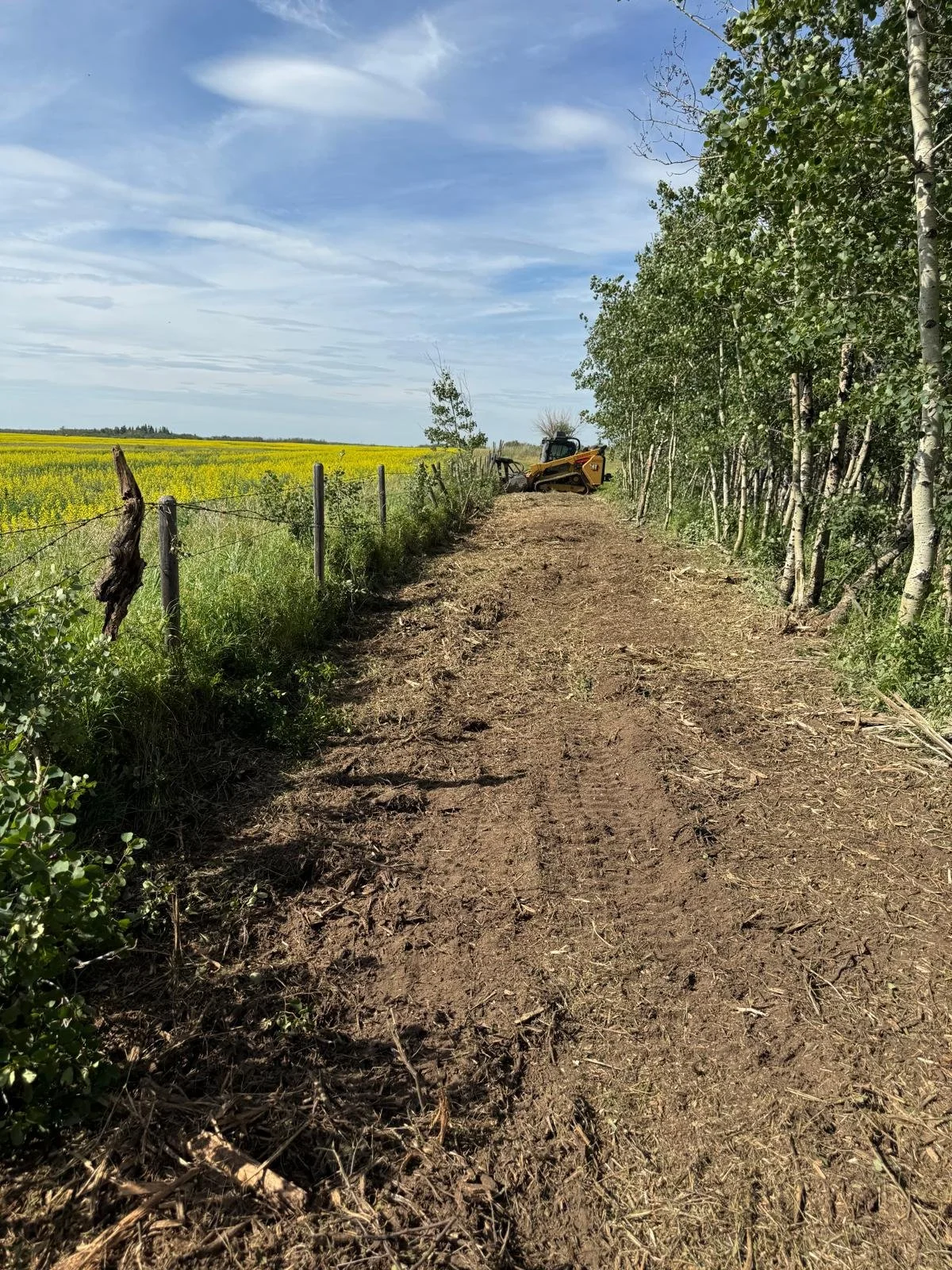 A dirt trail alongside a fence and trees, with a yellow field of flowers or crops and a blue sky with clouds in the background.