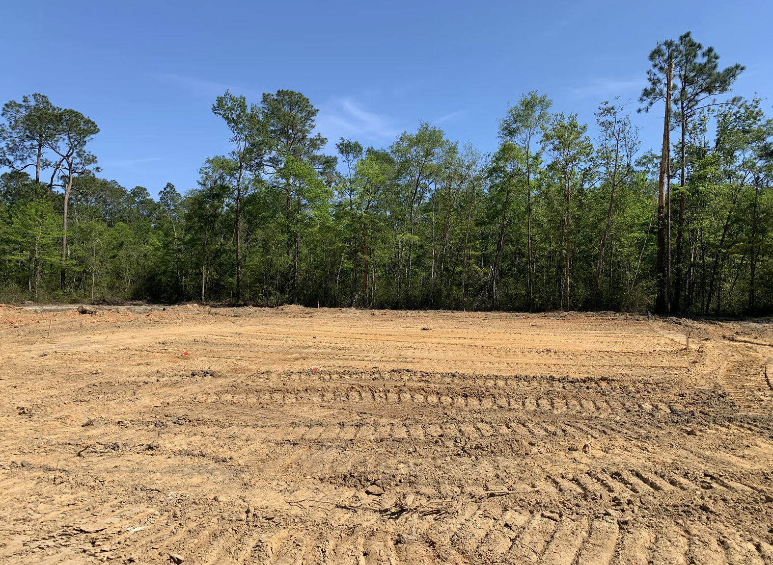 Cleared land with tire tracks and a forest in the background under a blue sky.