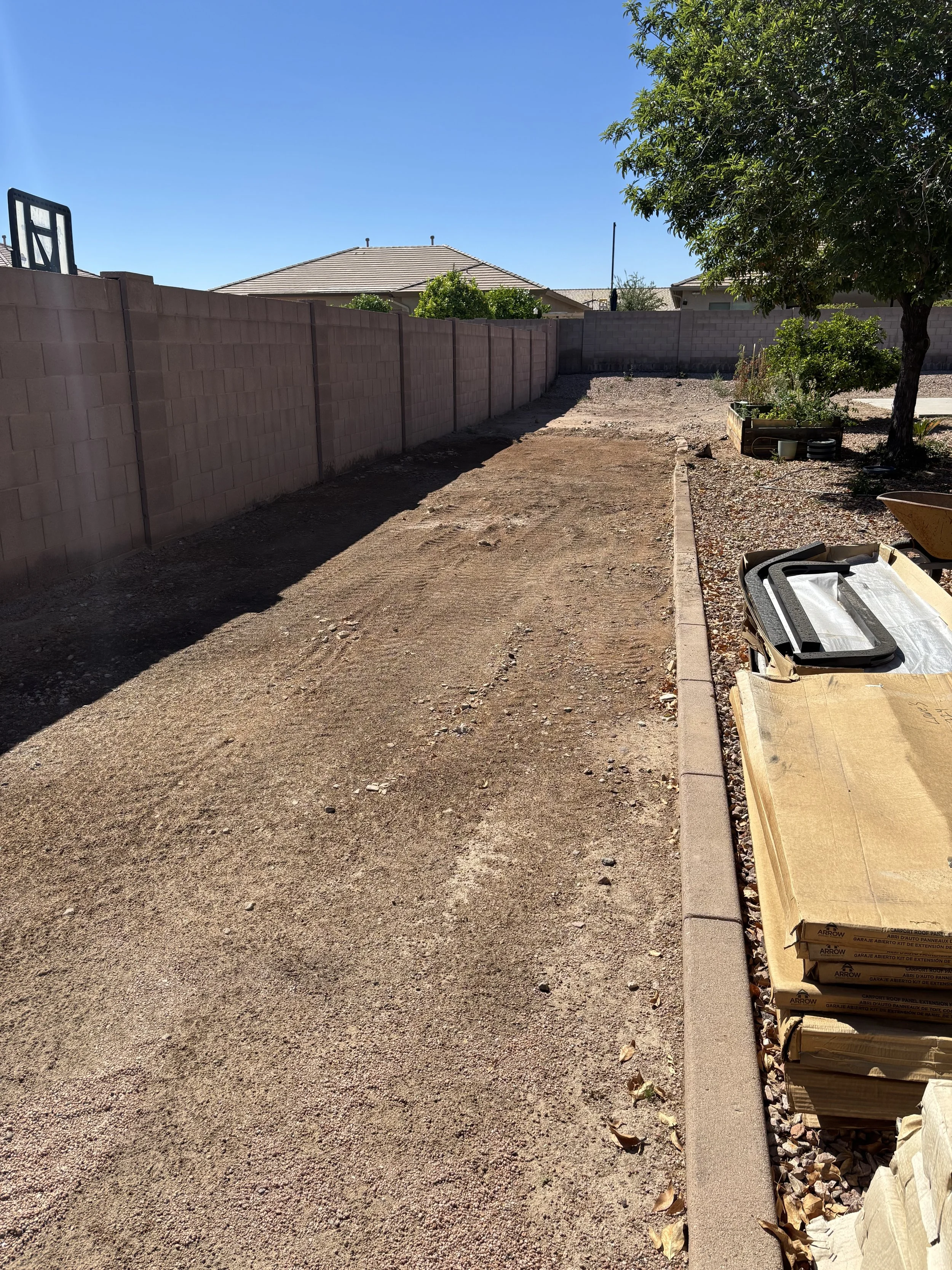 Cleared backyard with raised garden bed and tree ready for yard cleanup in Tempe