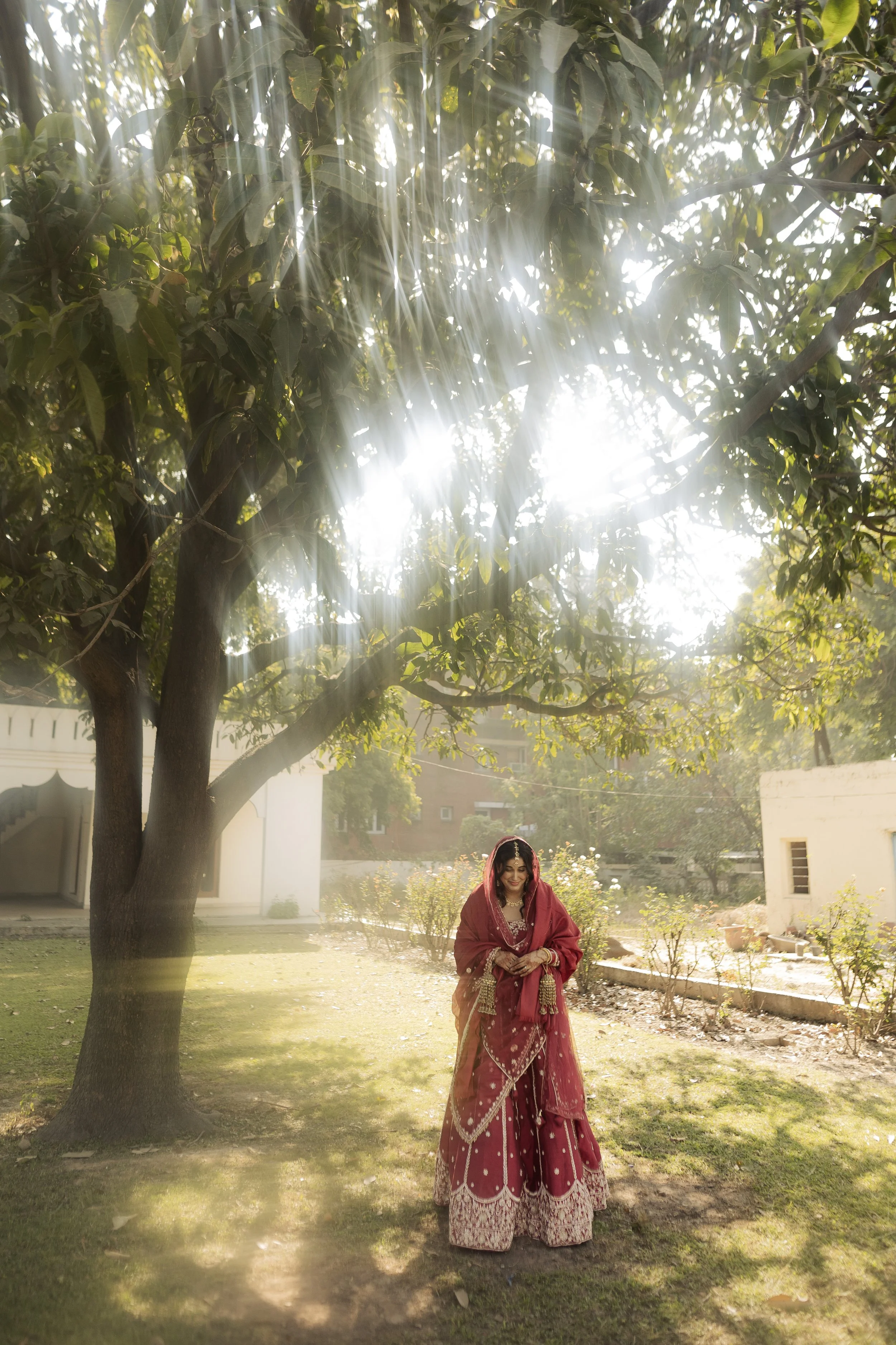 A woman dressed in traditional red Indian attire standing in a garden under a large tree with sunlight streaming through the leaves.