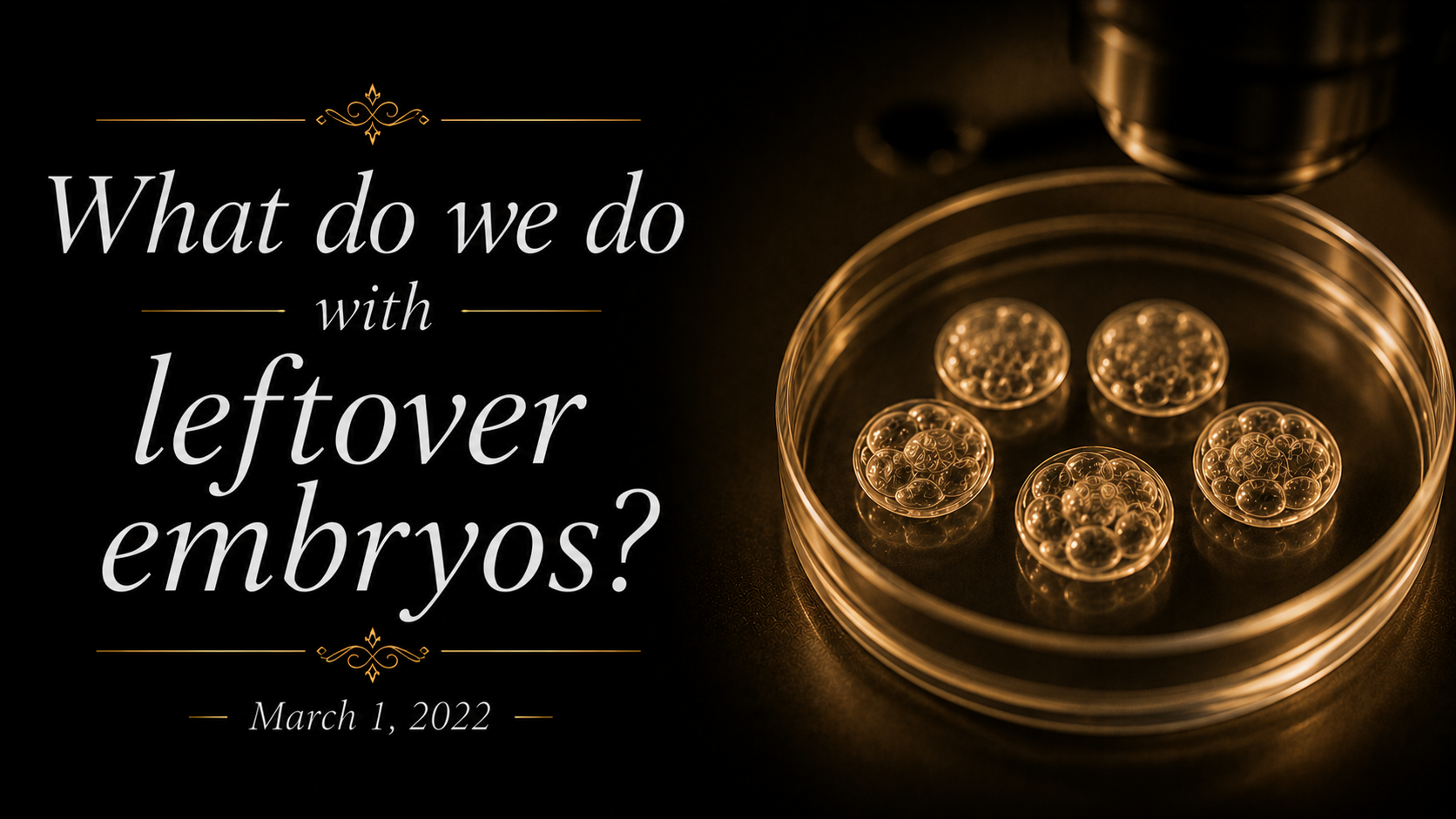 The Other Side of IVF: What do we do with Leftover Embryos?