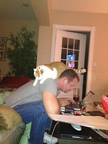 A man sitting on a couch with a cat laying on his back, near a window, using a laptop.