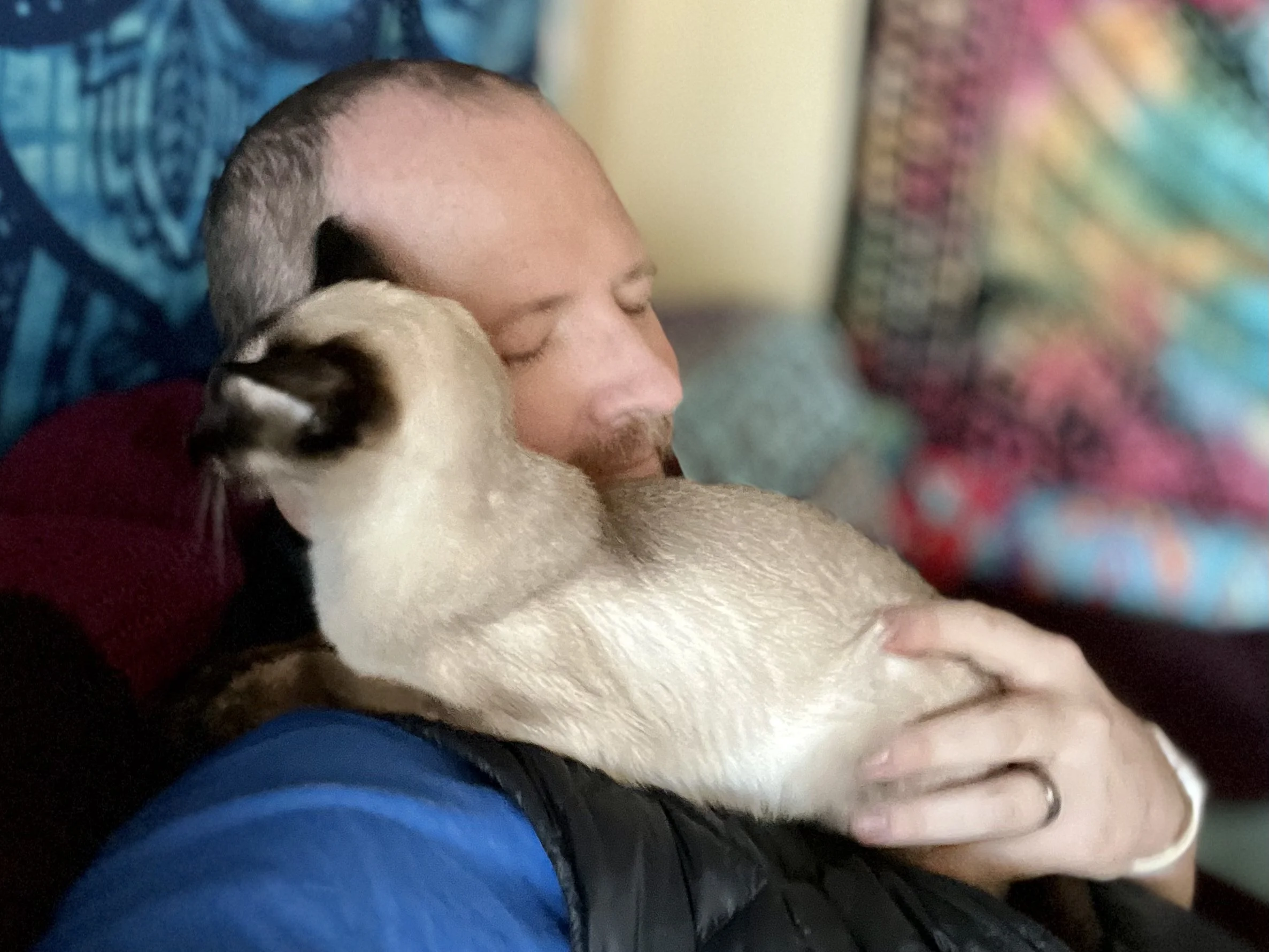 A person with short hair and a beard sleeping while hugging a Siamese cat, with colorful blankets in the background.