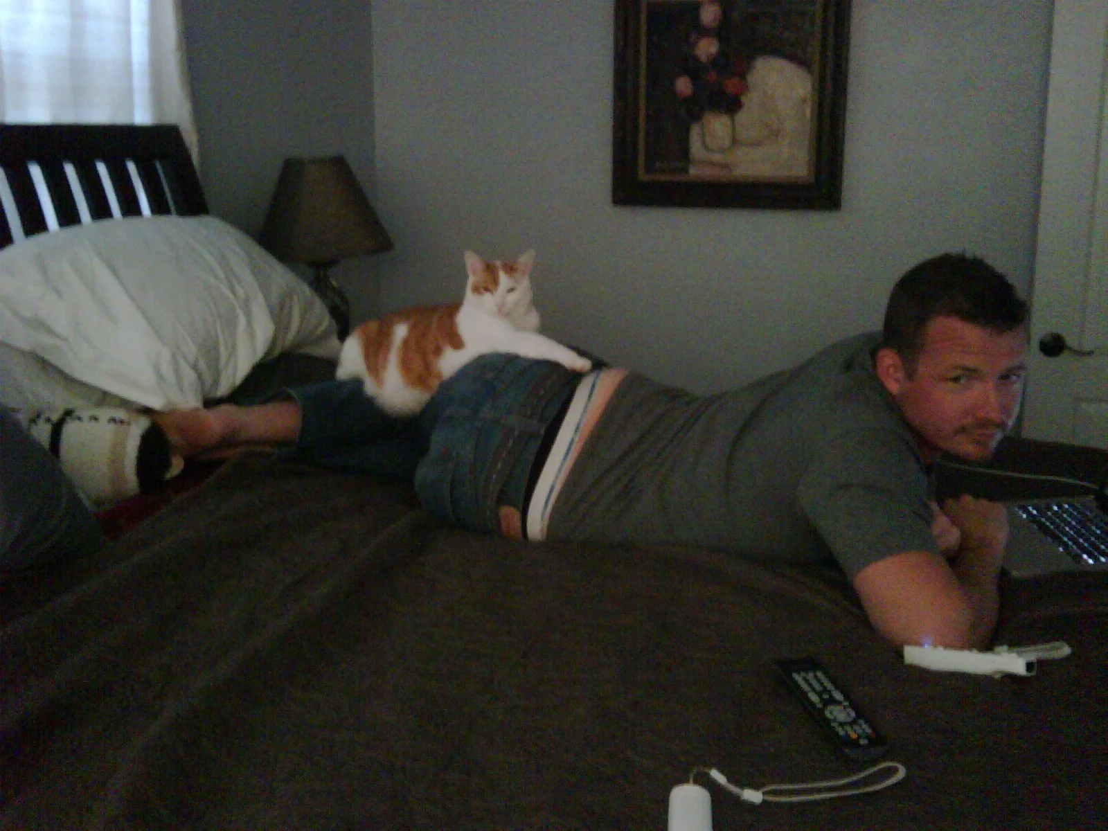 A man lying on his stomach on a bed with a white and orange cat resting on his lower back. The man is looking towards the camera while using a laptop. A remote control and some cables are on the bed.