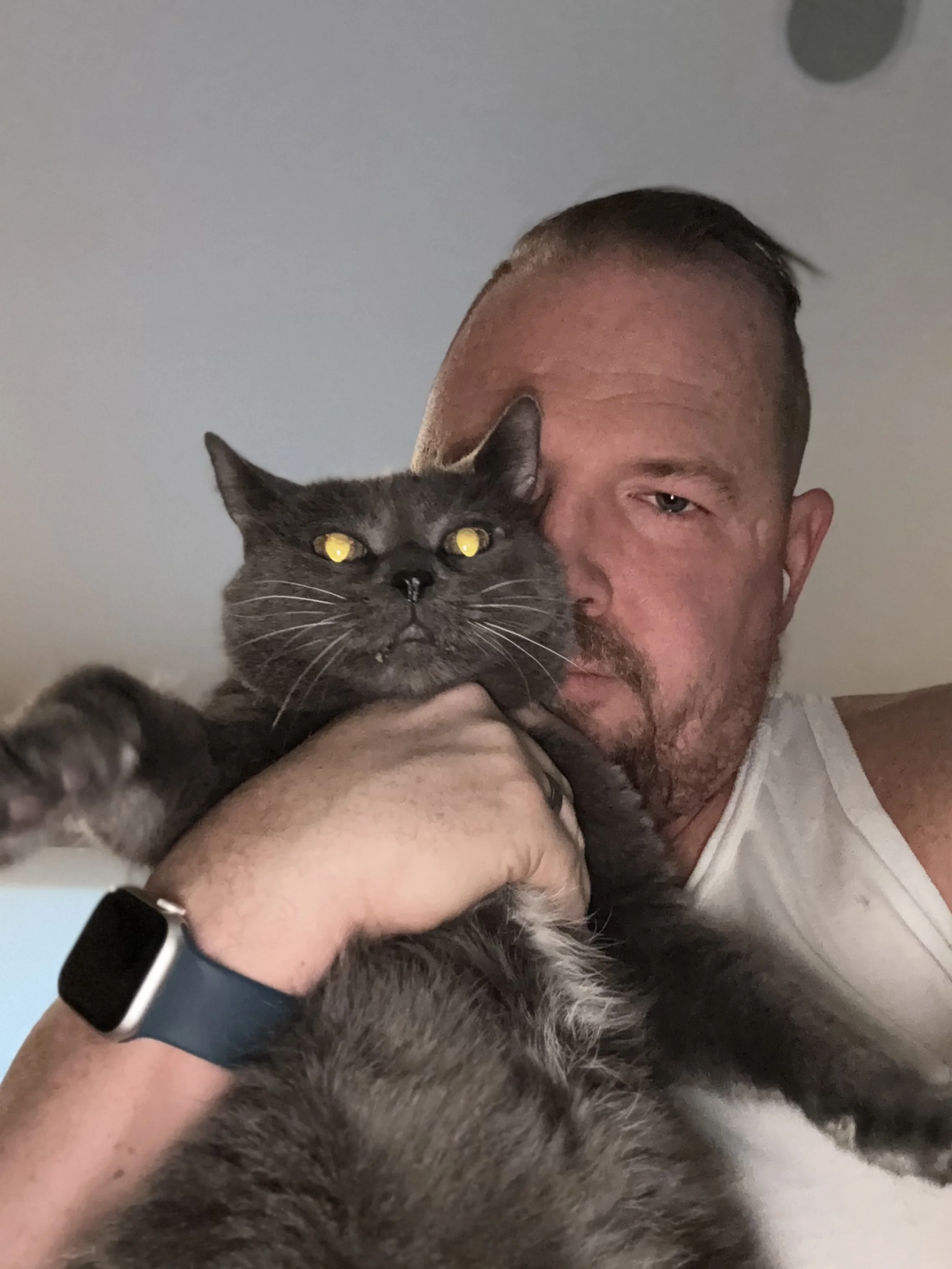 A man holding a gray cat close to his face, with both looking at the camera. The man is wearing a white tank top and a black smartwatch, and the background is a plain ceiling.