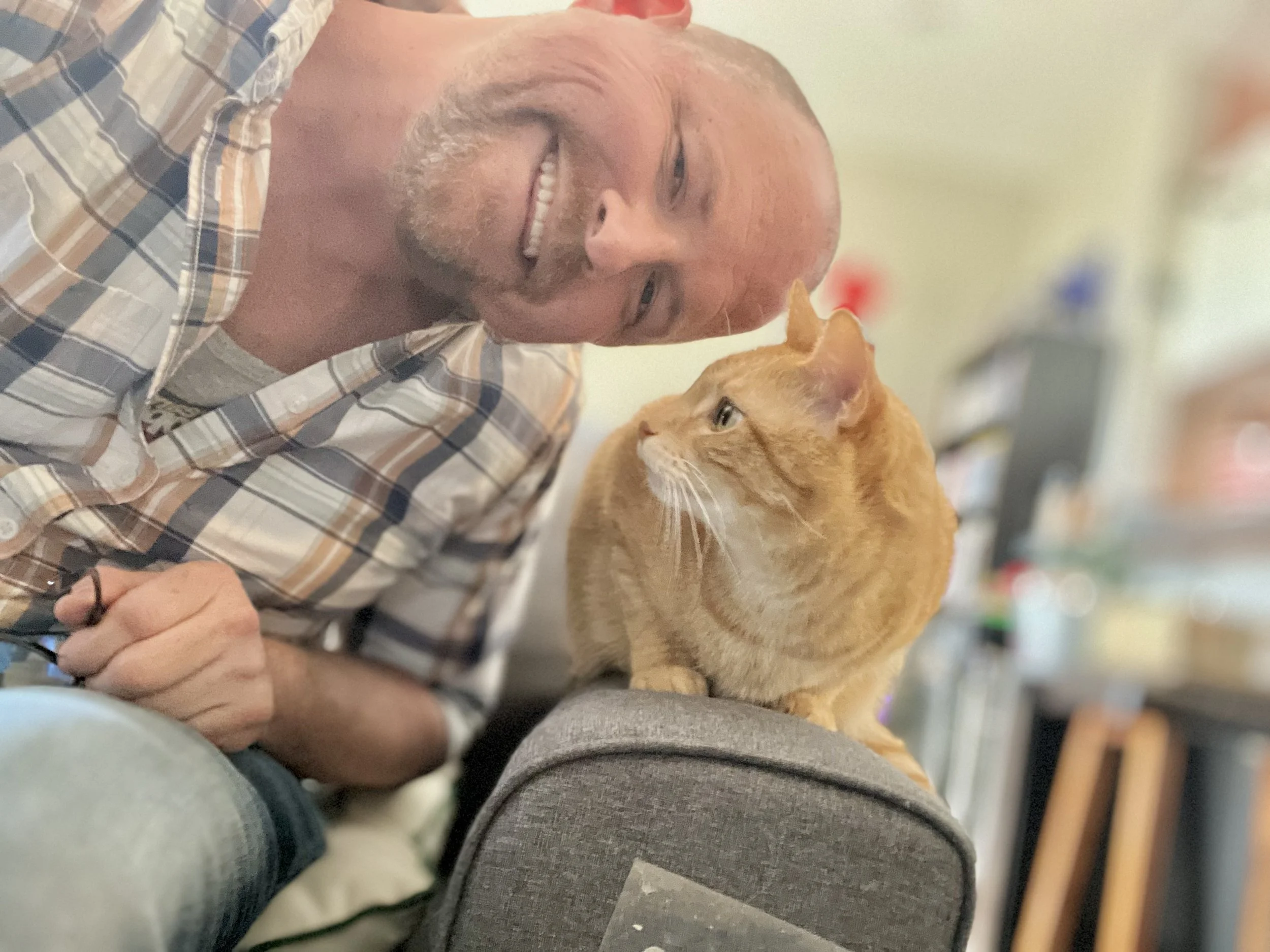 A man with a bald head, a beard, and a checkered shirt smiling at a ginger cat sitting on a gray chair armrest. The background is blurred with household items visible.