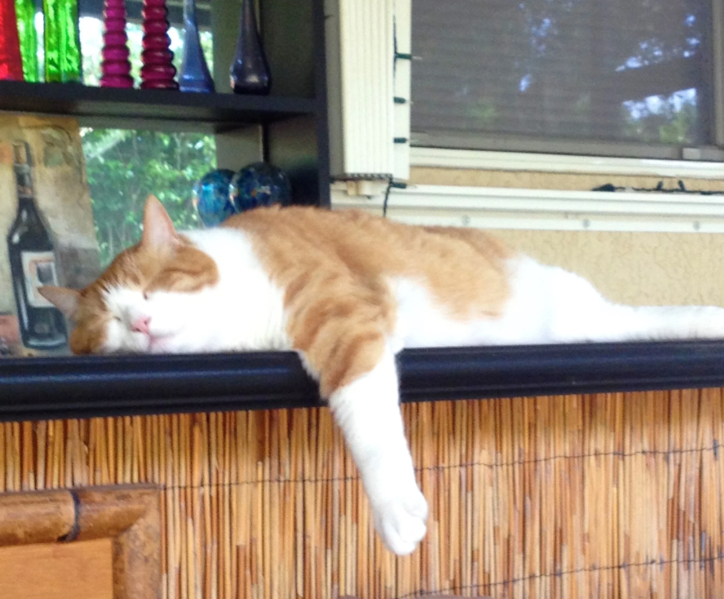 A ginger and white cat sleeping on a black shelf or countertop near a window, with a bamboo or wood-paneled wall below.
