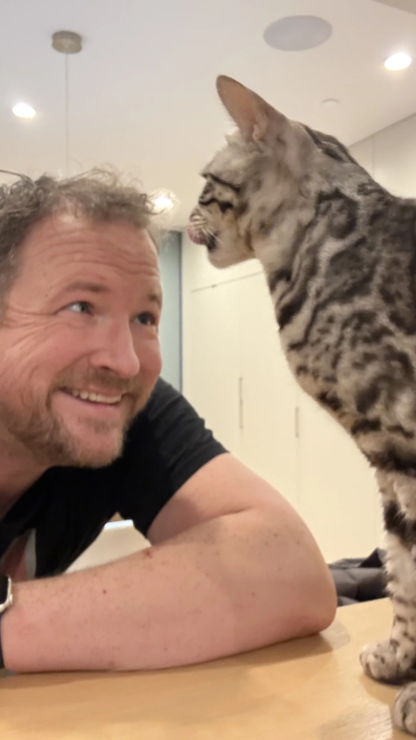 A man smiling and leaning on a table, facing a large, tabby-patterned cat that is standing on the table and looking at him.