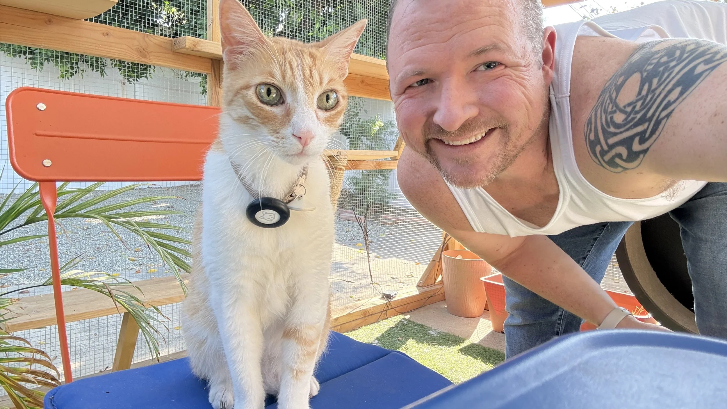 A man with short hair, a beard, and a tattoo on his upper arm taking a selfie with an orange and white cat wearing a collar and a pet tracker. The background shows a wooden fence, some plants, and outdoor furnishings.