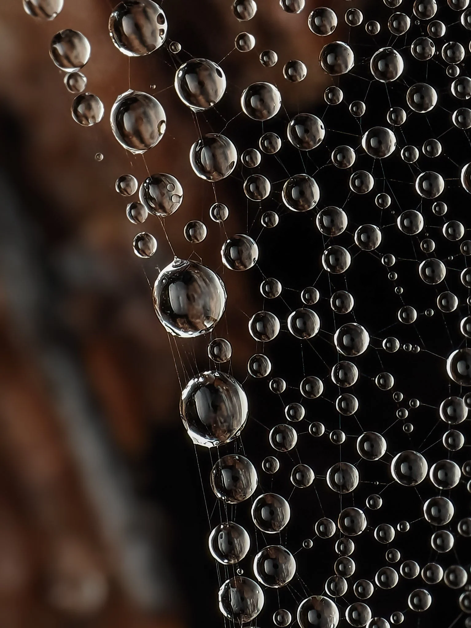 Close-up of a spider web with water droplets hanging on the threads, forming spherical shapes reflecting the surrounding environment.