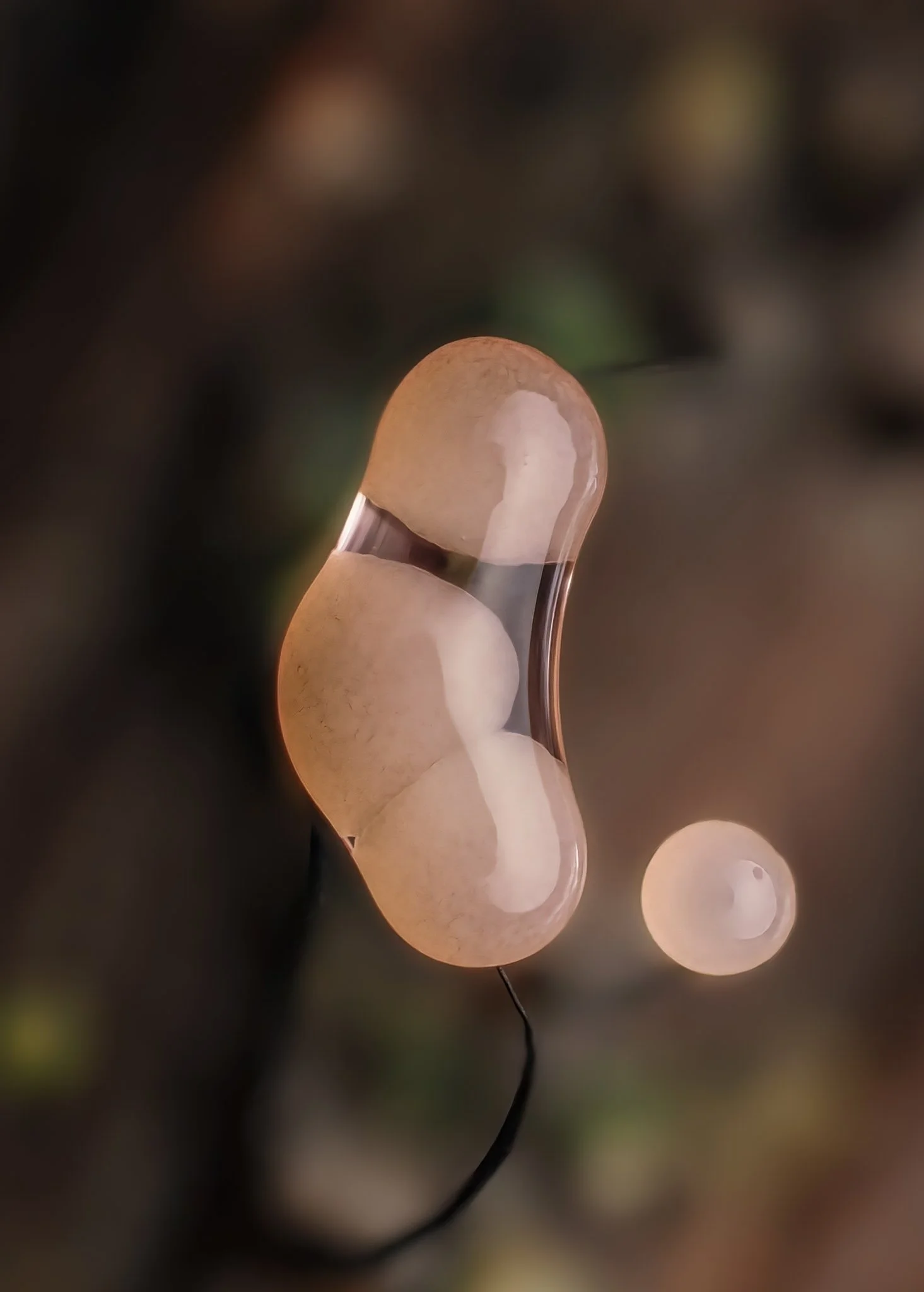 Close-up of a cluster of pale pink comatricha slime mold encased in a water droplet with a blurred background.