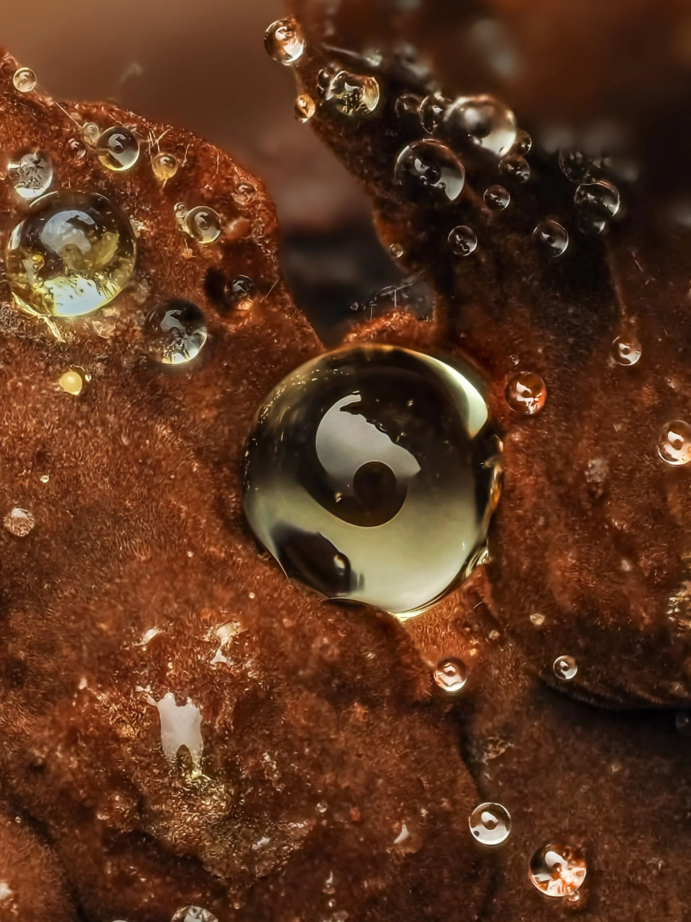 Close-up of dewdrops on a brown, textured surface with a permanent color and transparent water-like drops.