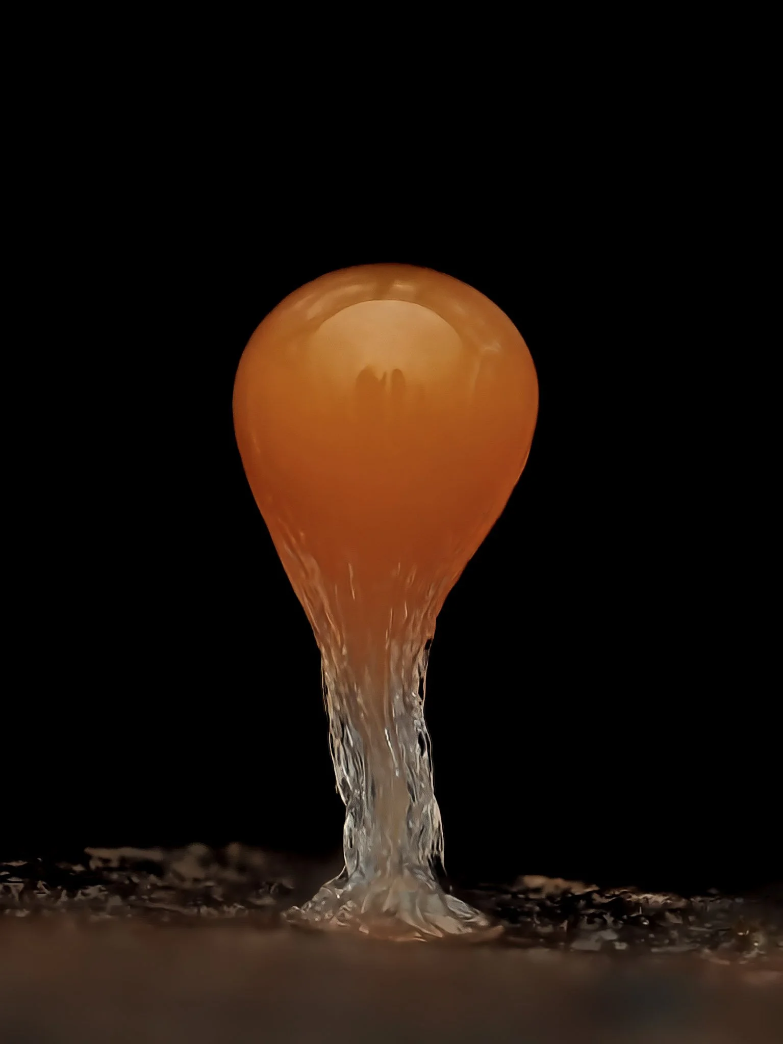 Close-up shot of an orange hemitrichia decipiens slime mold.