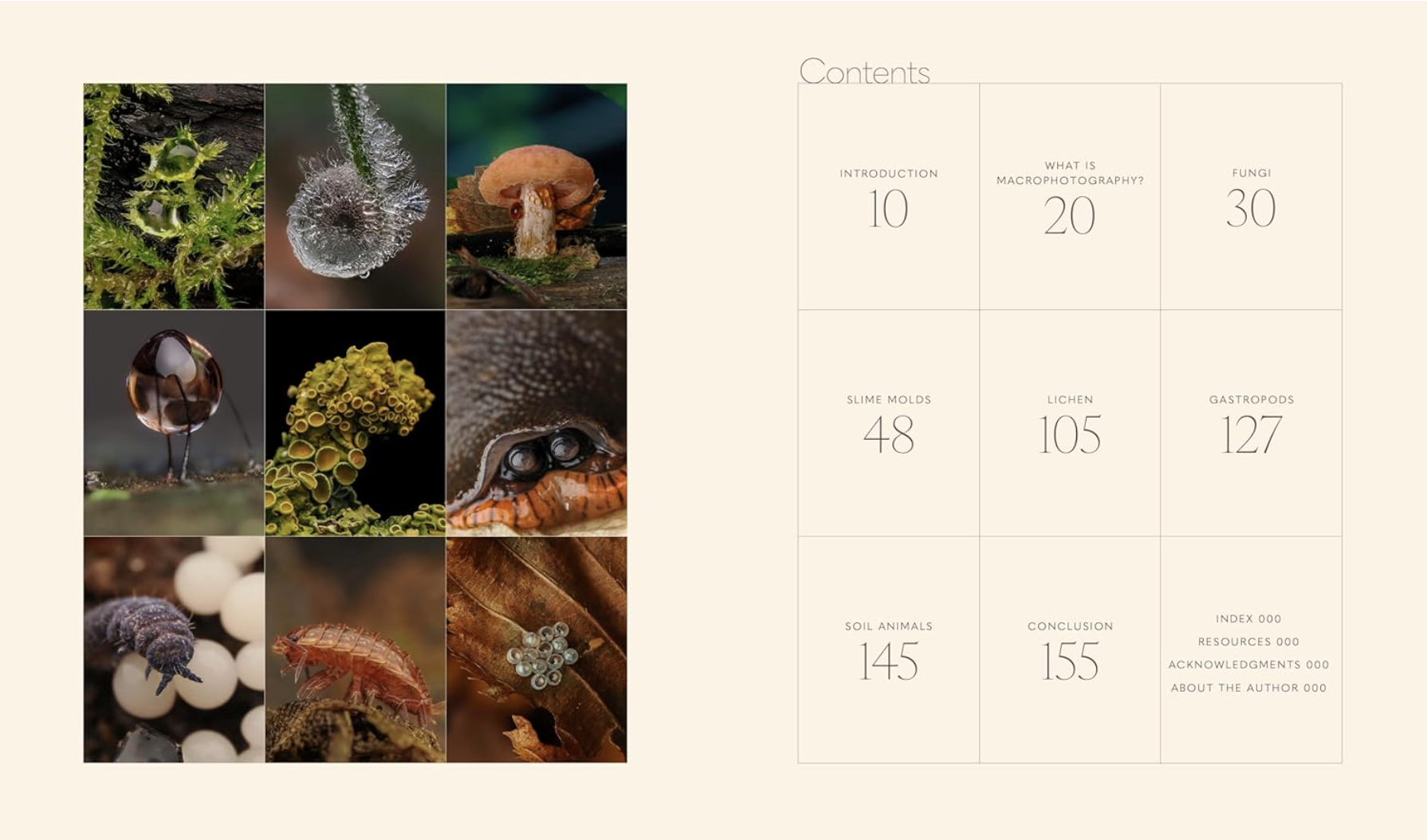 A table of contents page with a grid of nine close-up photographs of fungi, slime molds, and soil animals on the left, and chapter titles and page numbers on the right.