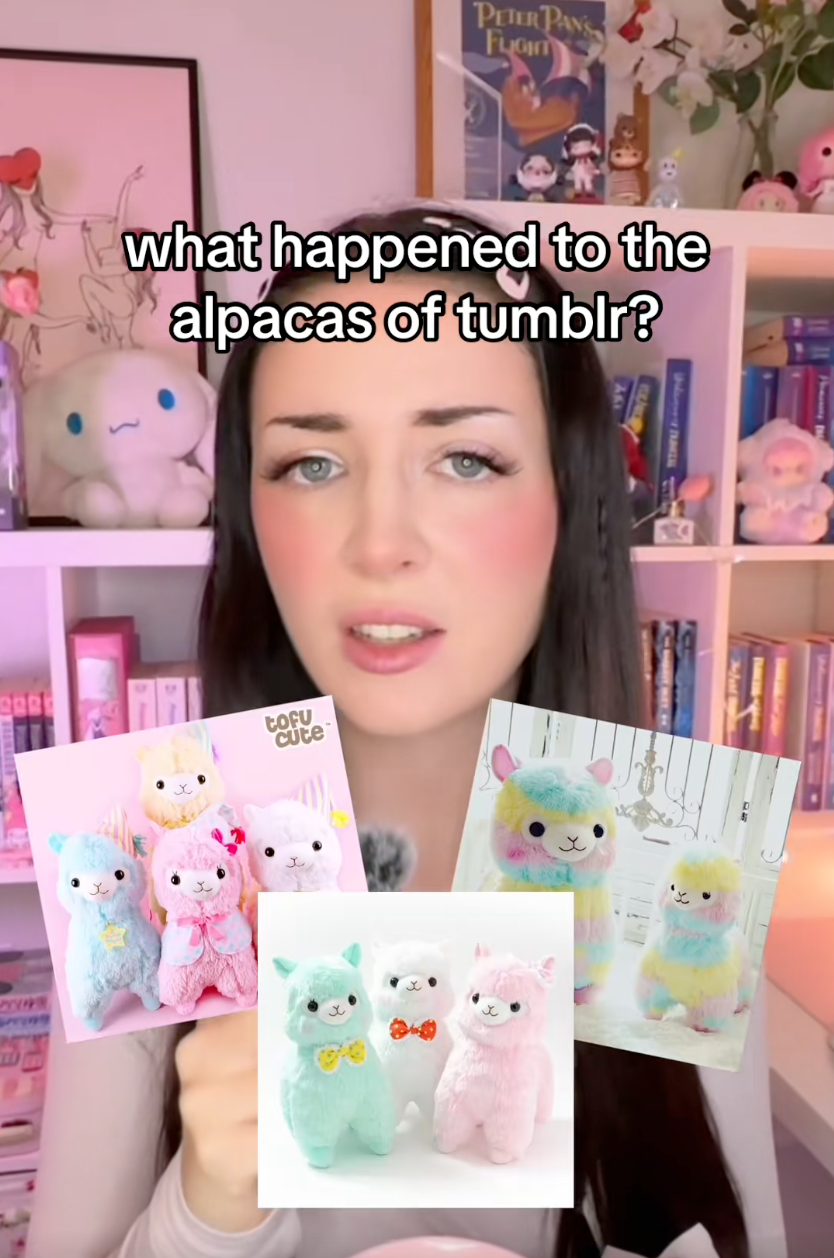 "What Happened to the Kawaii Alpacas of Tumblr?" ~ Connie Glynn