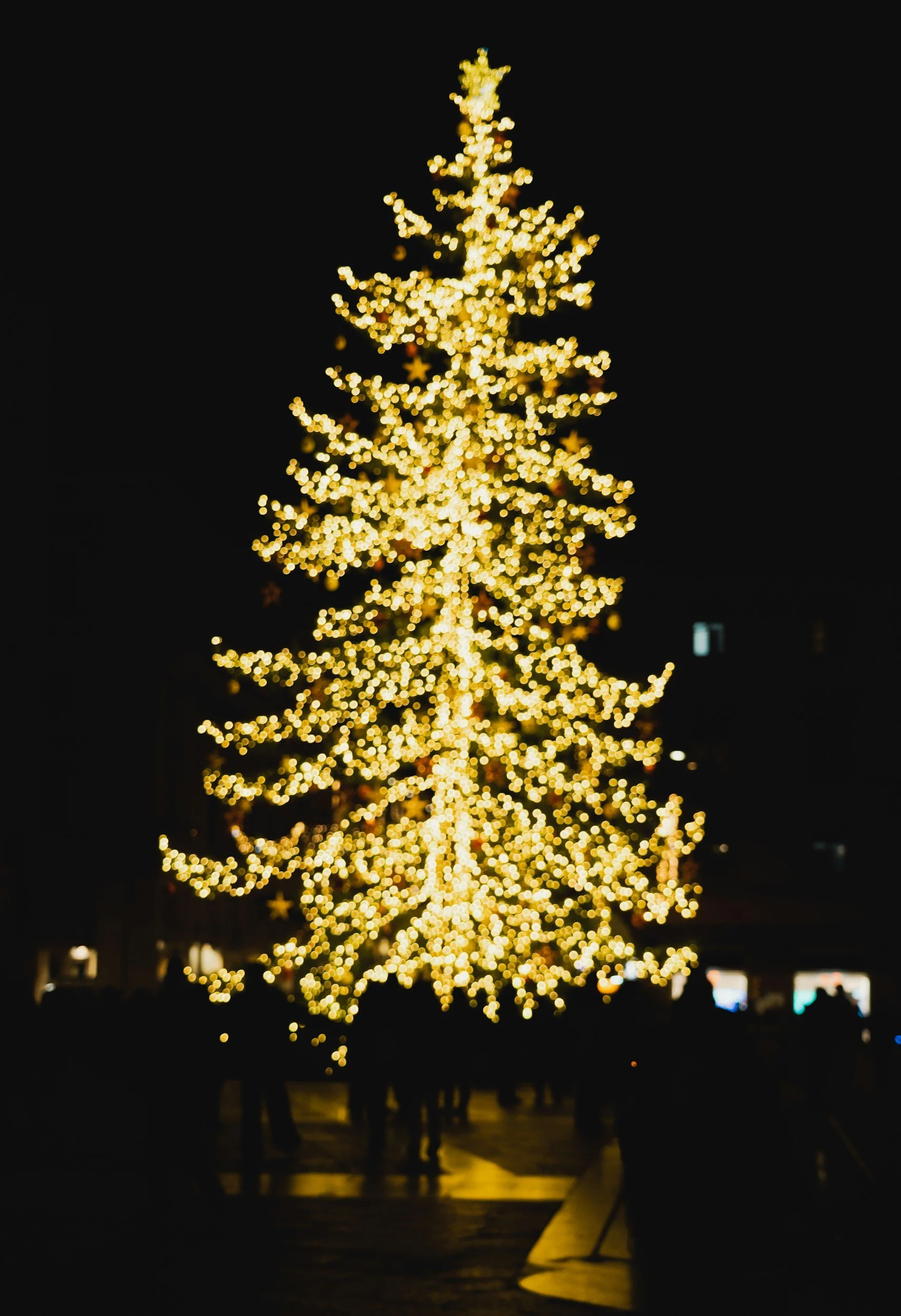 unsplash-image-BzsoqTmur_U.jpg