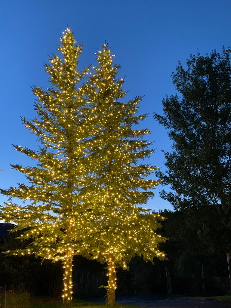 Outdoor Lighting