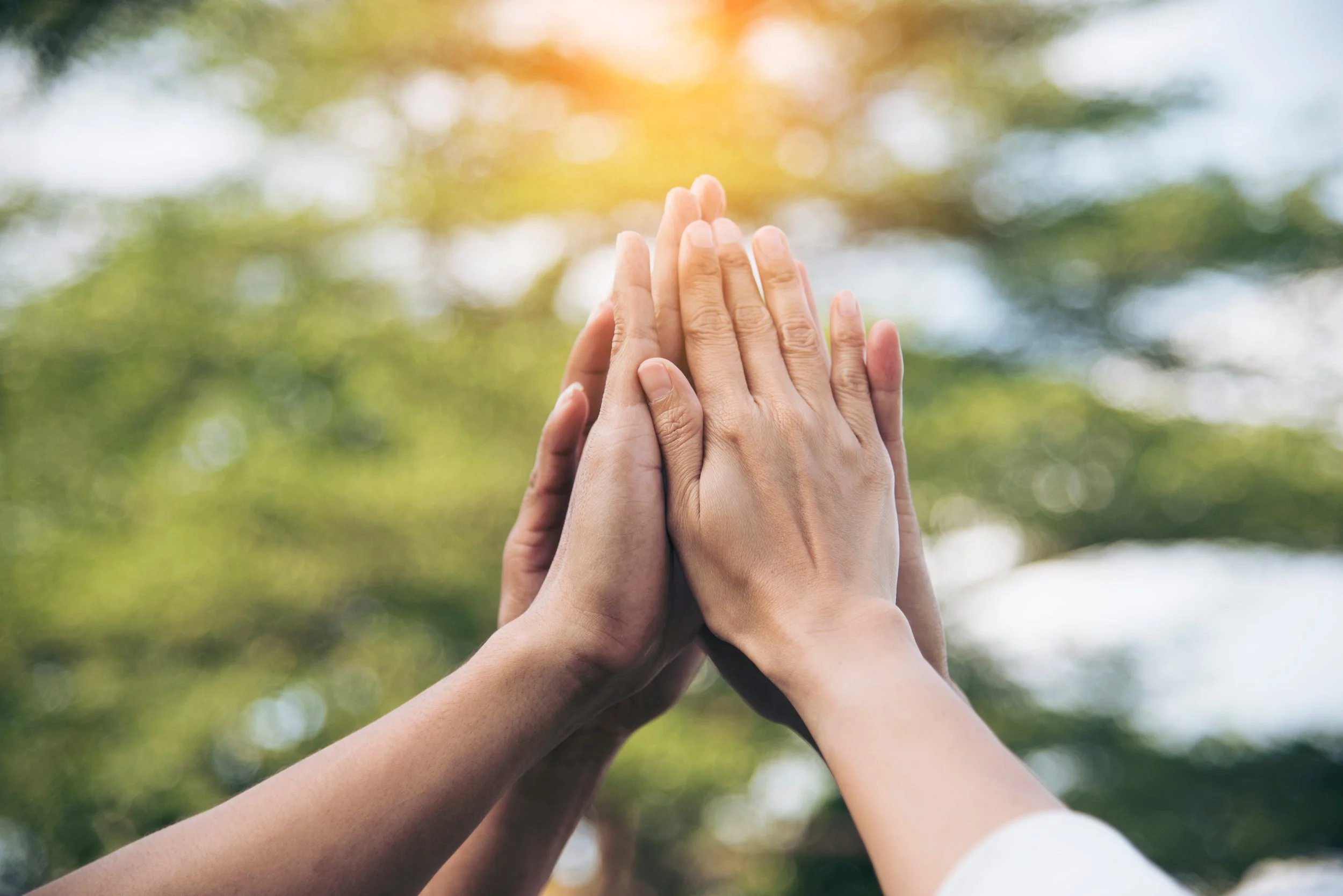 Found hands in the air in a high-five gesture