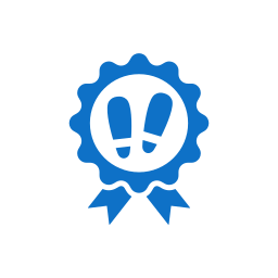 An award medal with a blue ribbon and a circular medallion featuring a smiling face and a blue outline.