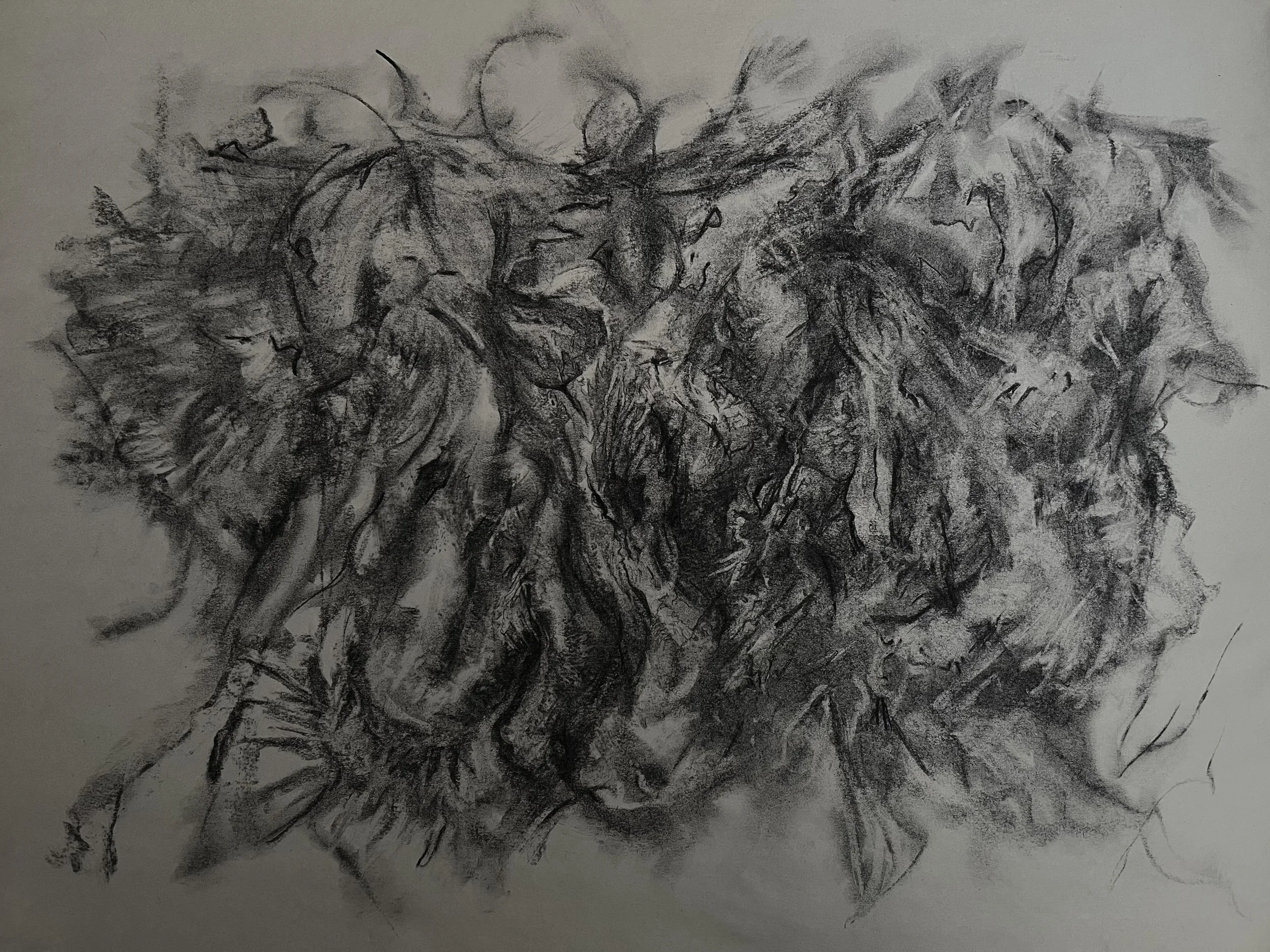 Impressions (2025) - Charcoal on Newsprint
