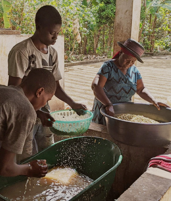 COOPACVOD- Haiti - Washing.png