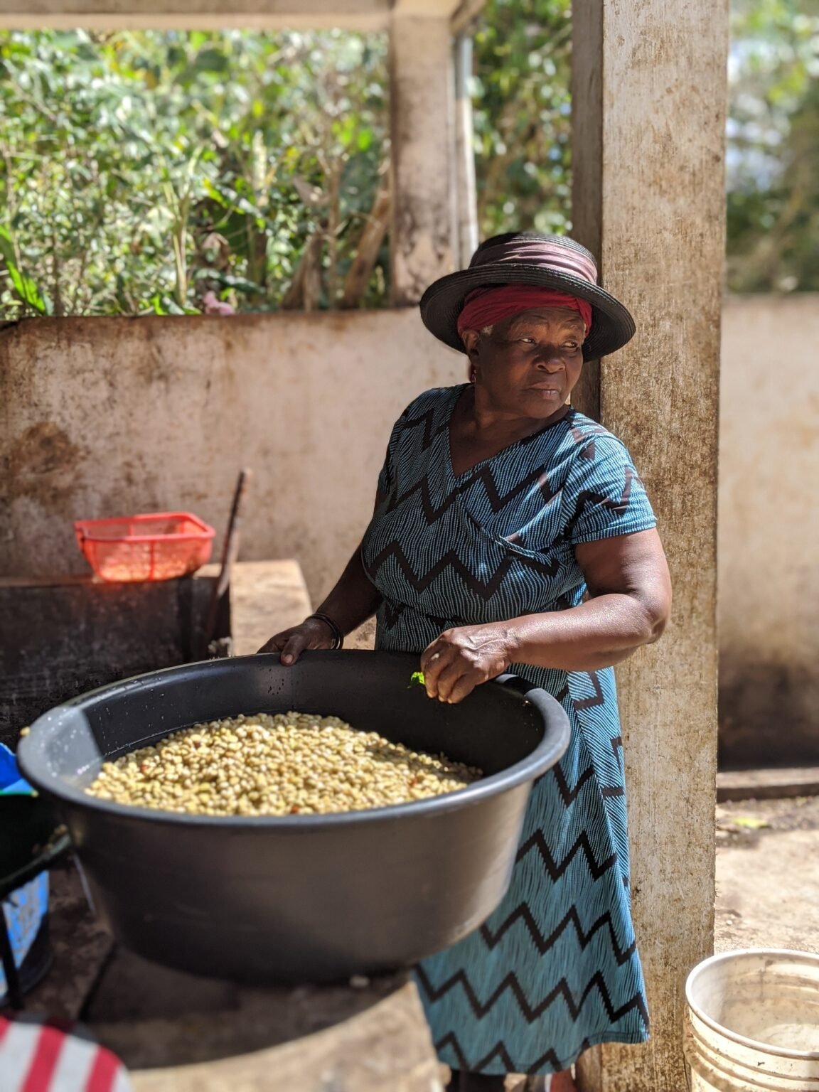 Haitian Coffee - Marianne Merisier - hand washing coffee.jpg