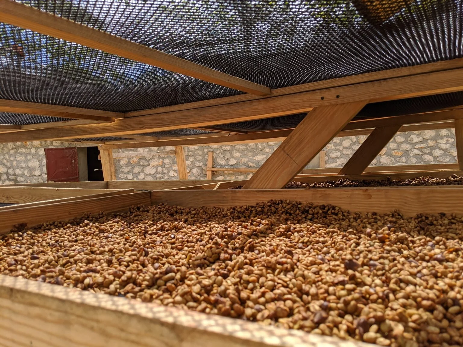 Haitian Coffee Farm.jpg