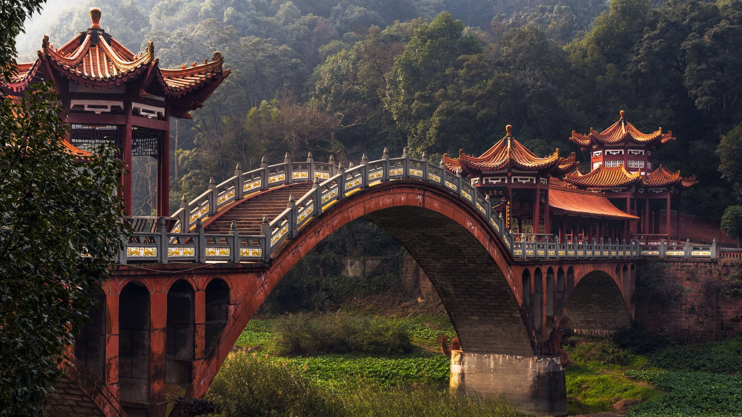 La Chine, entre traditions millénaires et modernité saisissante.