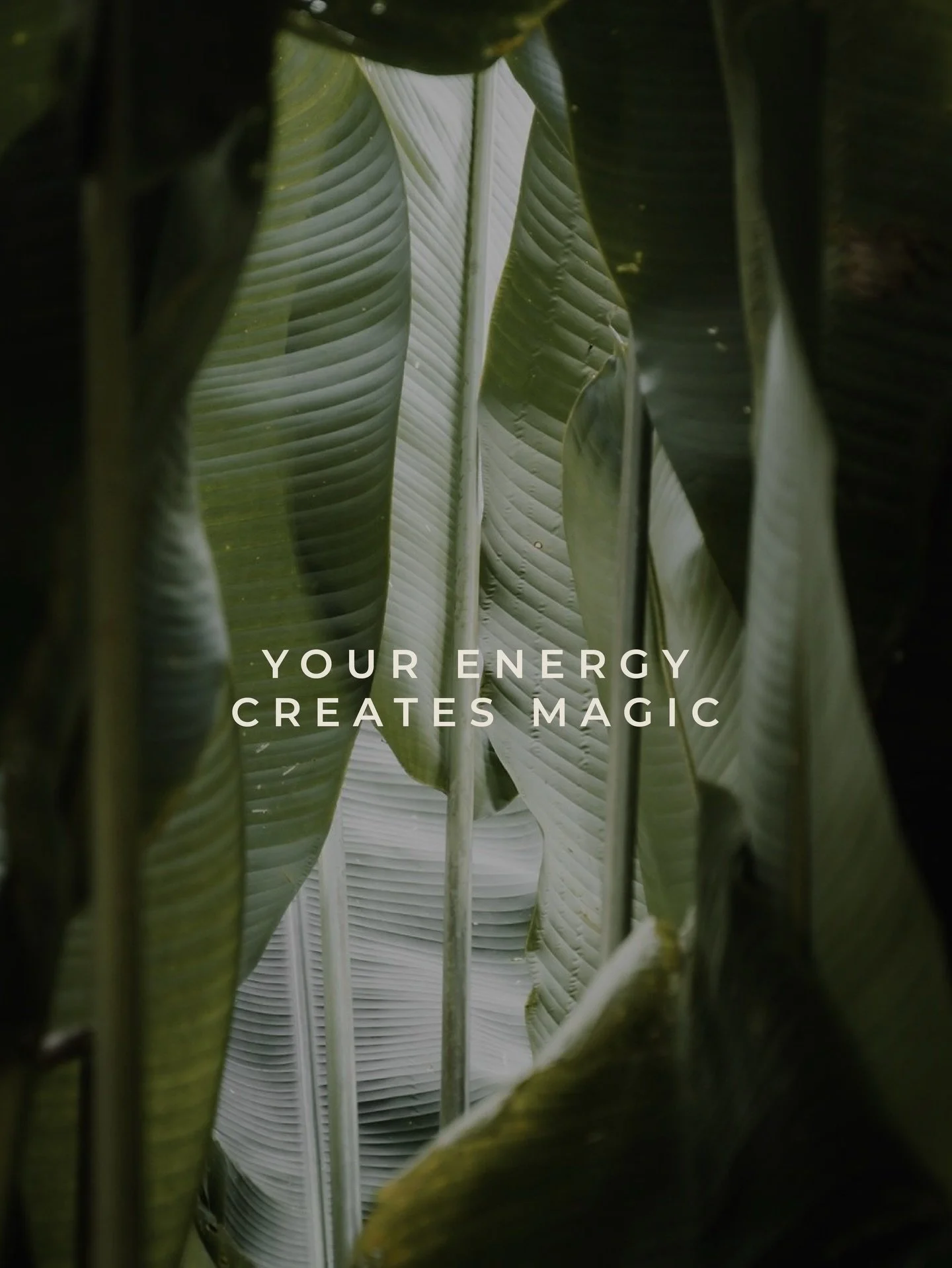 Your energy creates magic. Be Br&oacute;coli.