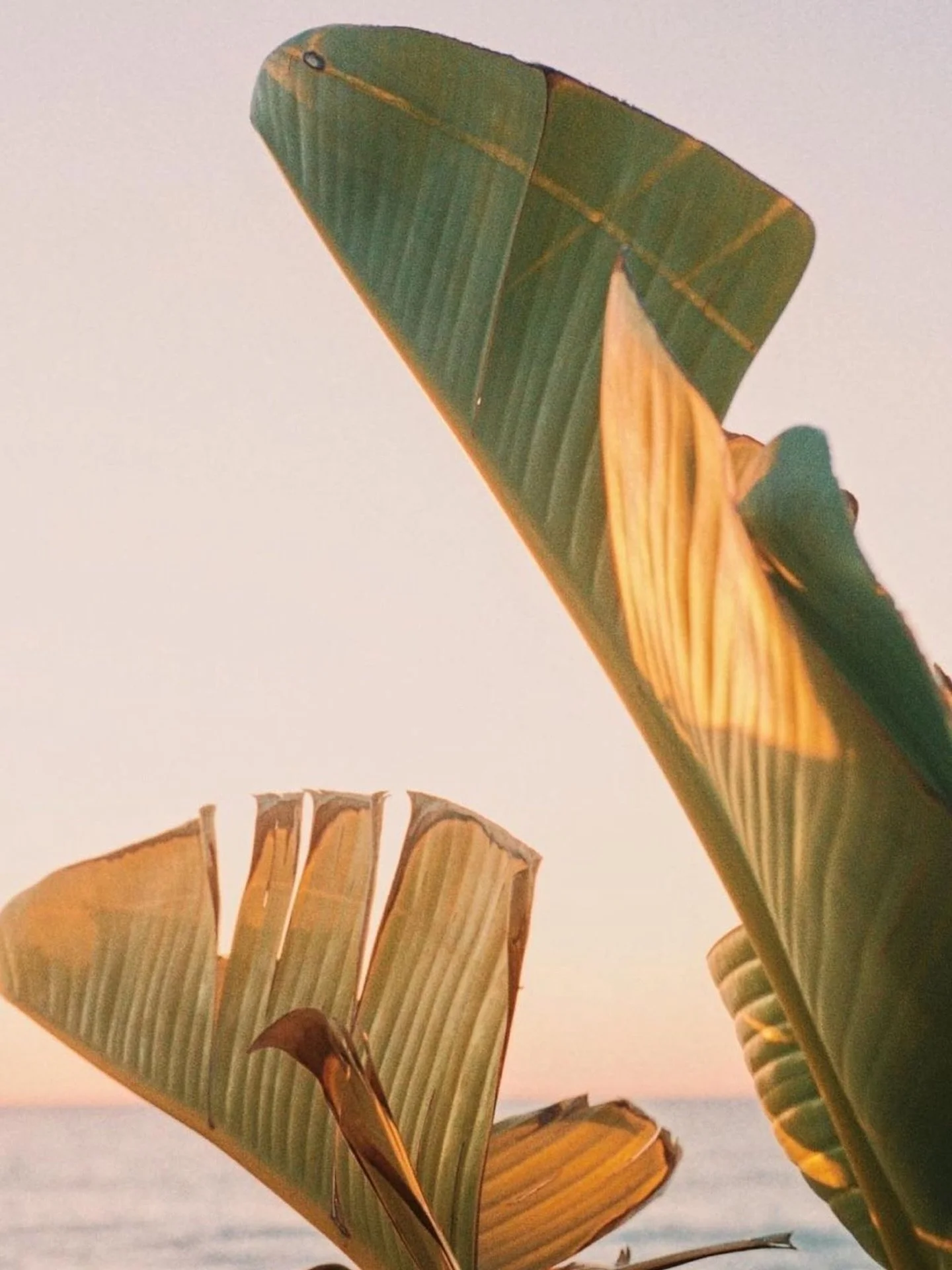 Golden hours