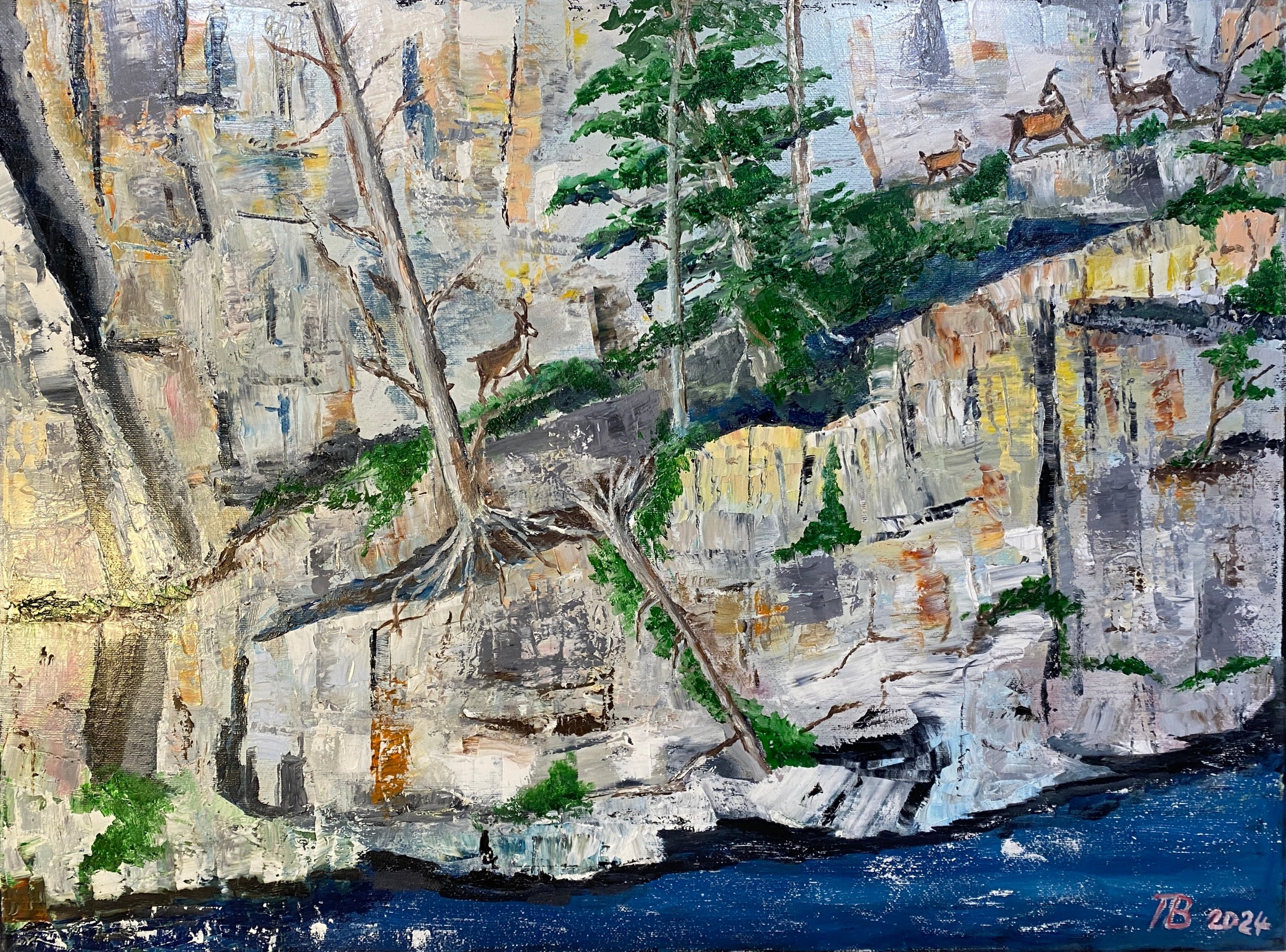 Chamois on Rock  Oil on Canvas 24"x18"x0.75"  $400