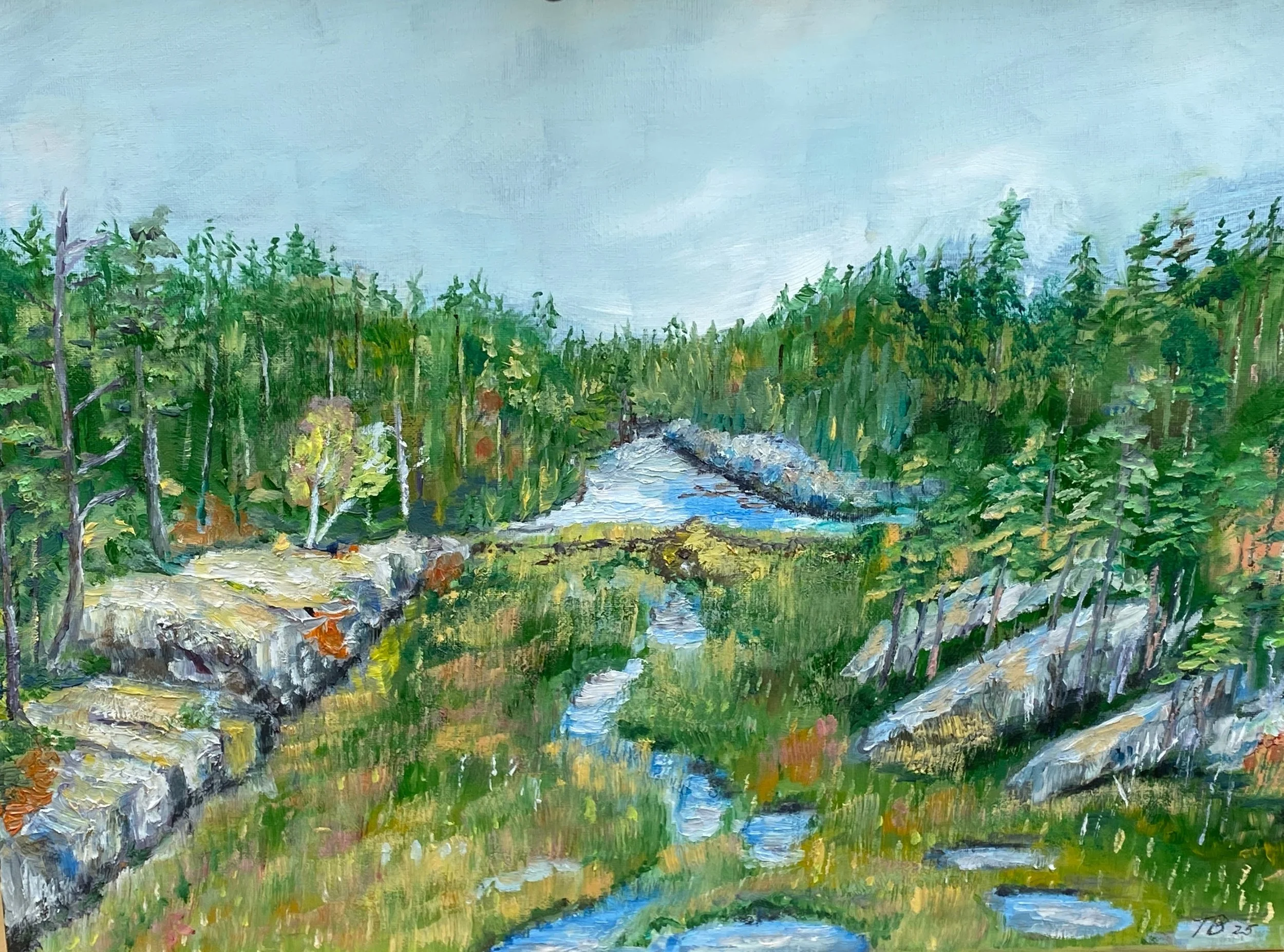 Beaver Dam   Oil on Canvas 20"x16"x0.75"  $320