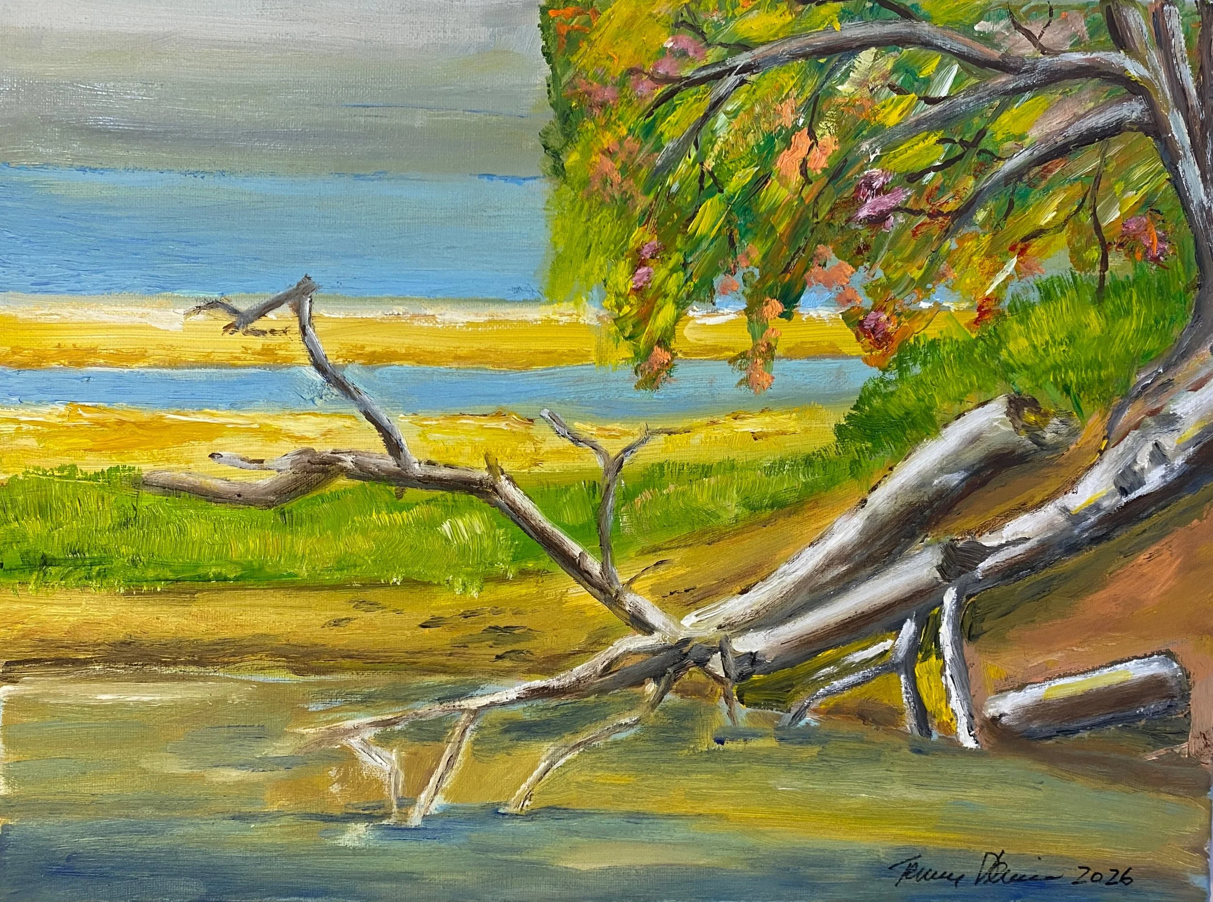 Estuary Sand Bar   Oil on Canvas 16"x12"x0.75"  $190