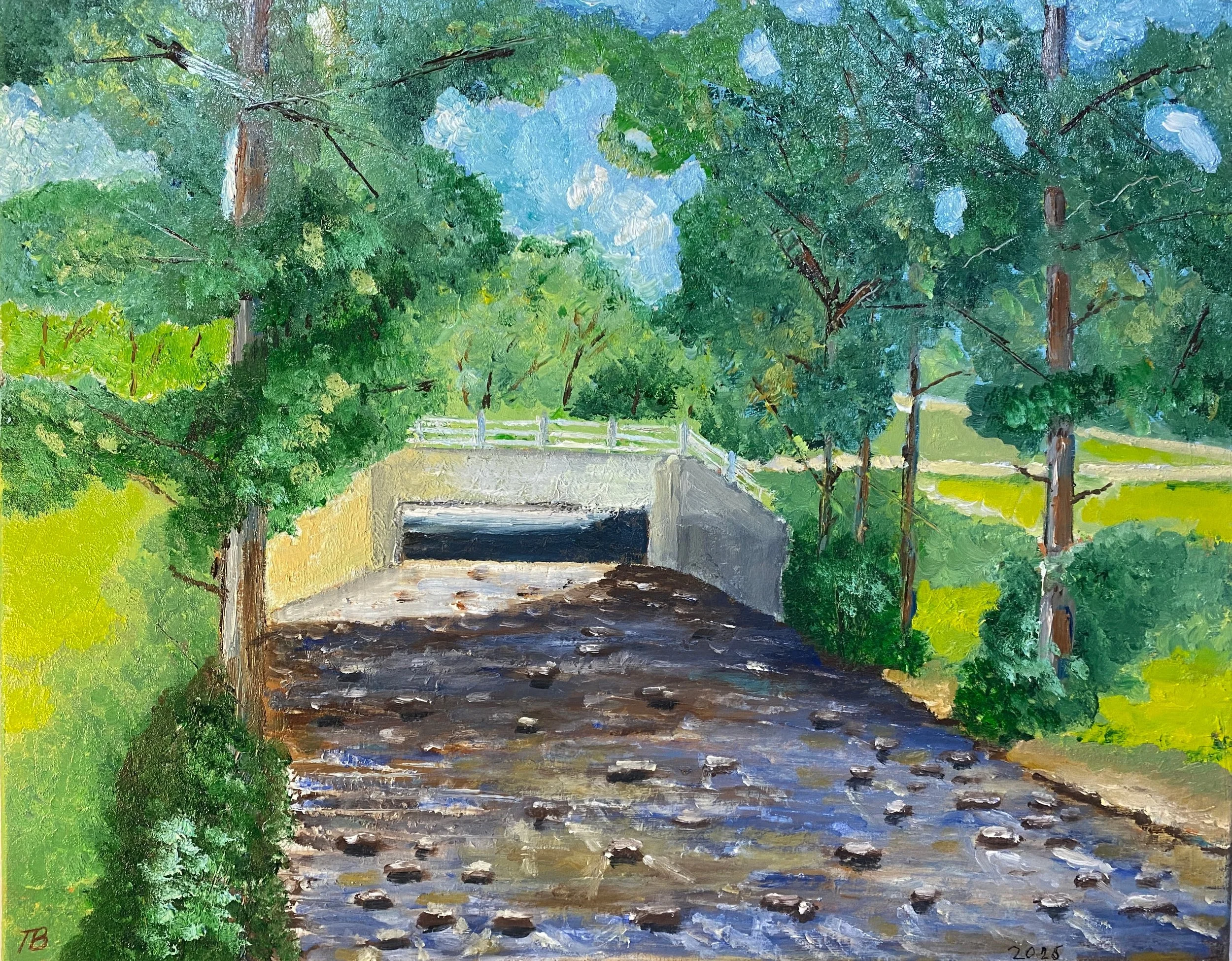 Soper Park Bridge, Cambridge  Oil on Canvas 20"x16"x0.75"  $320