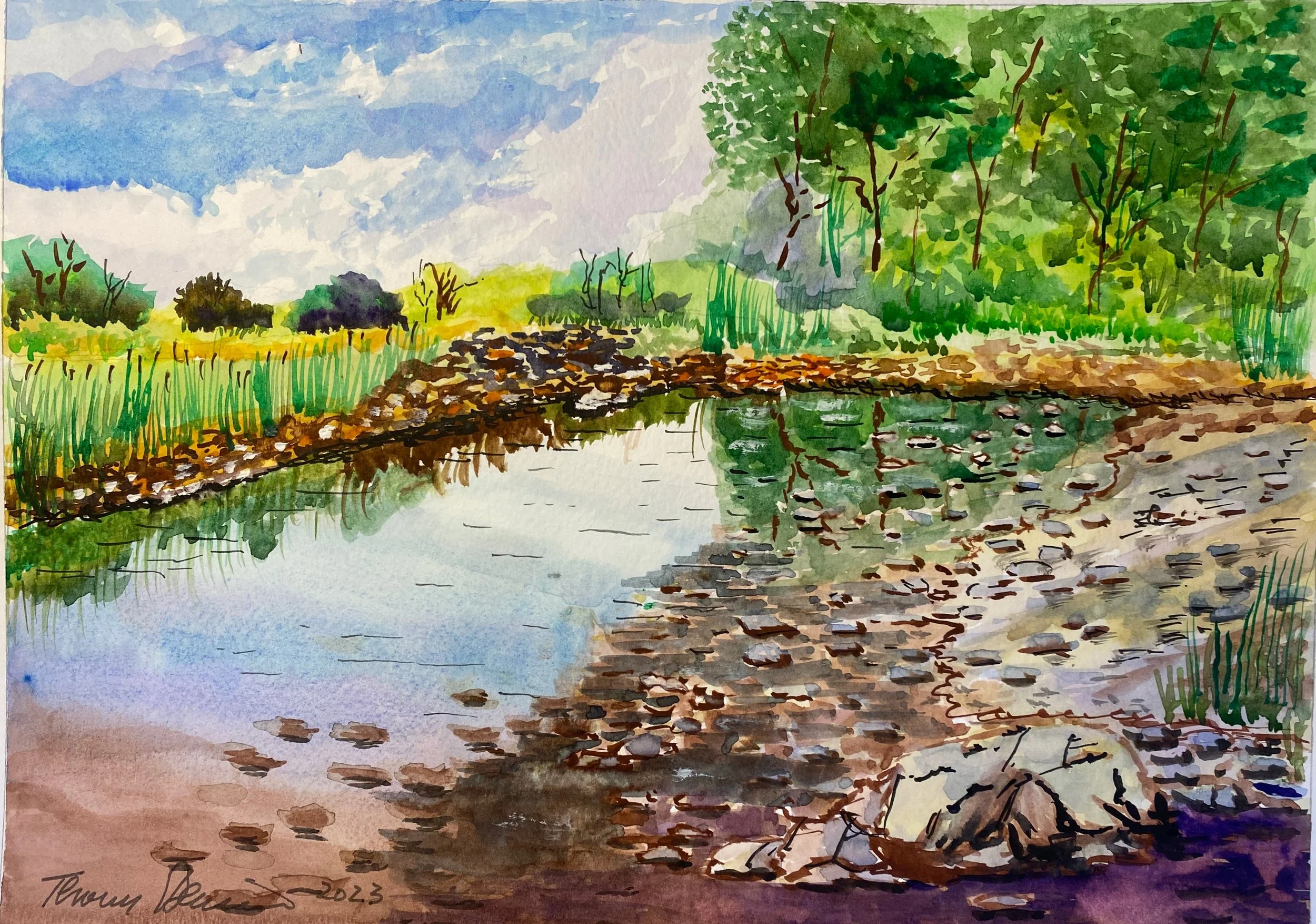 Wetland Pool
Watercolour on Multi Media Paper 15"x11"
$150