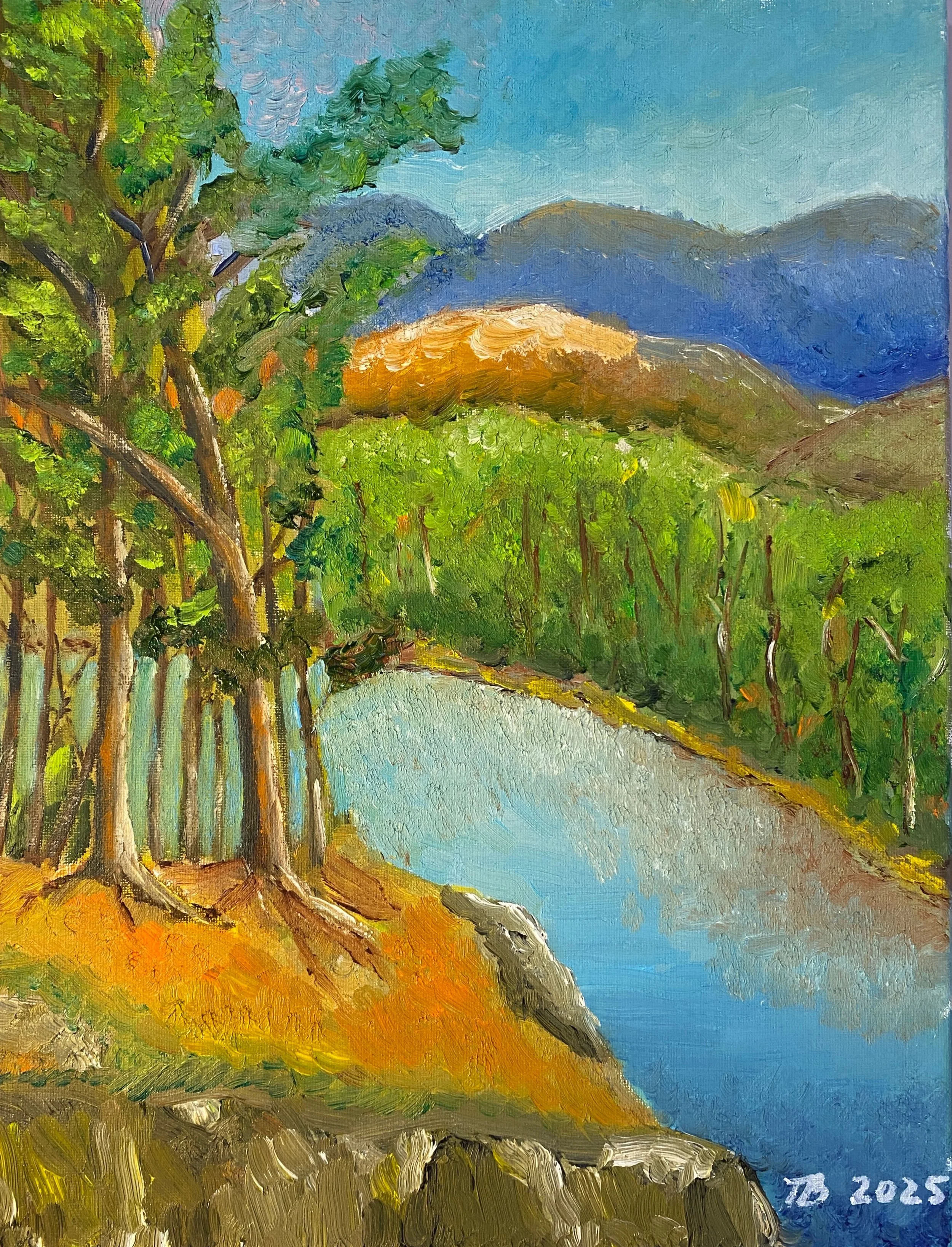 River View   Oil on Canvas 12"x16"x0.75"  $190