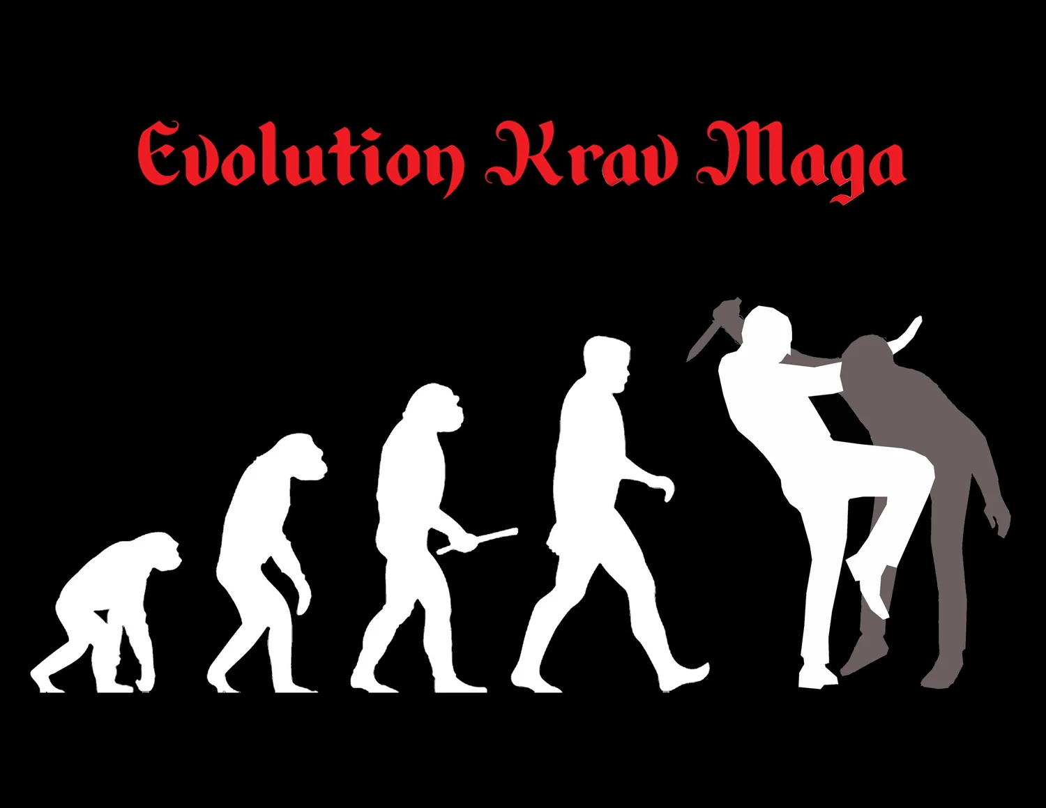 Evolution Krav Maga DE