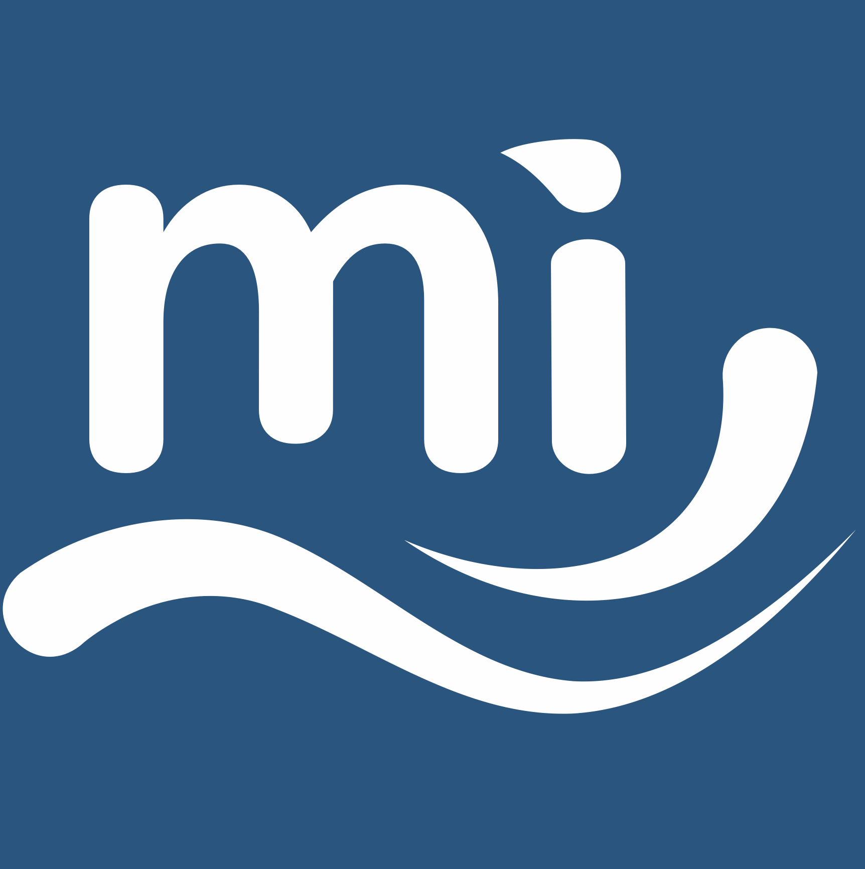 The main blue chosen for the brand color was picked from a personal photograph of Lake Michigan. White as the secondary color allows for clear contrast and accessibility.