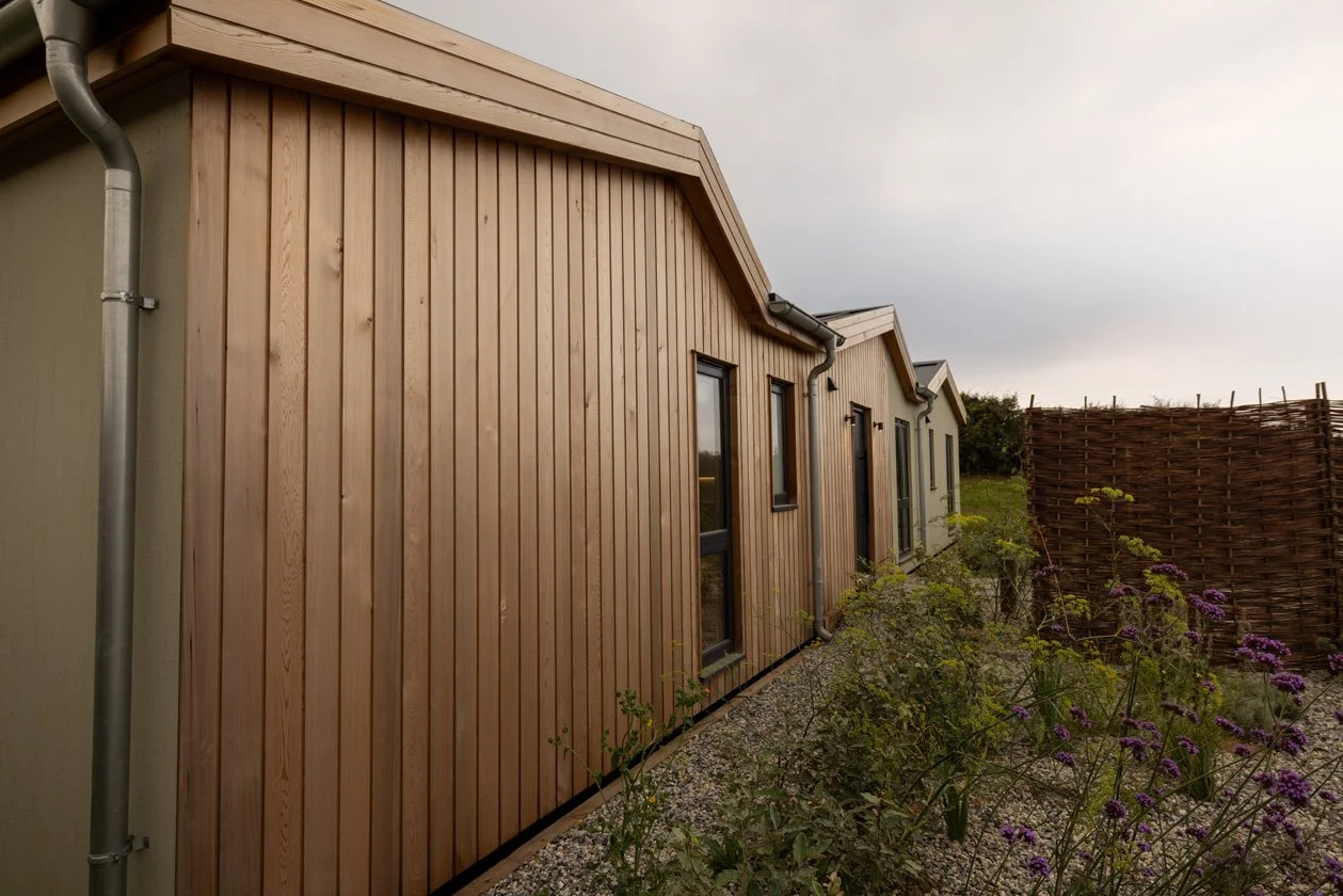 Side view of a modern house with vertical wooden siding, multiple windows, and a gravel pathway with plants and flowers along the side.