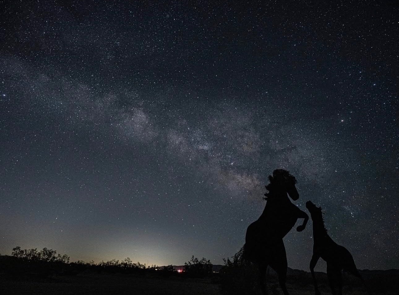 Stunning image captured by student @margieoakes during our Milky Way Photography Workshop! 🌌

Want to join us on the next one workshop? We&rsquo;re heading back to Borrego Springs in July!

#borregosprings #milkyway #astrophotography #learnphotograp