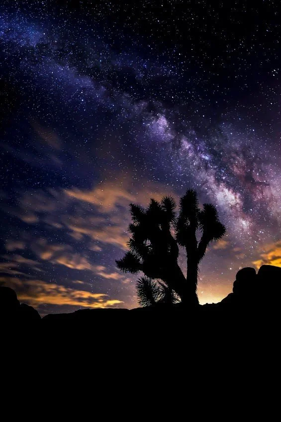 Milky Way Photography in Joshua Tree