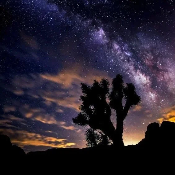 David-Joshua+Tree+Milky+Way.jpg