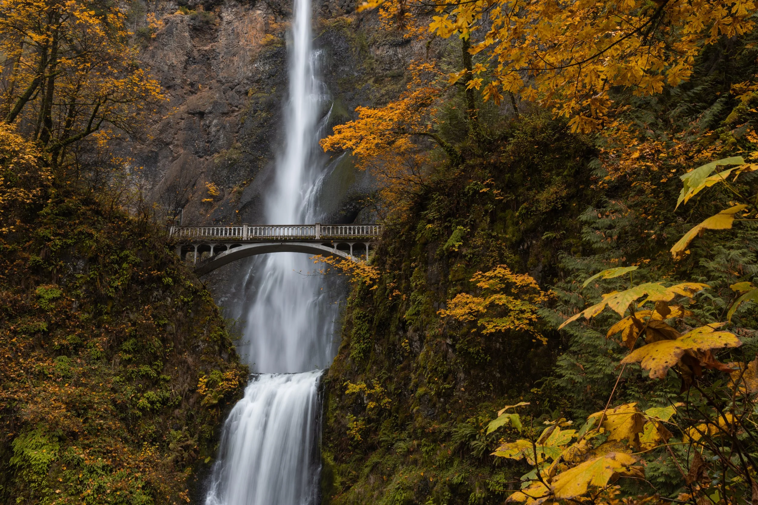 Portland, OR: Waterfalls & Wine